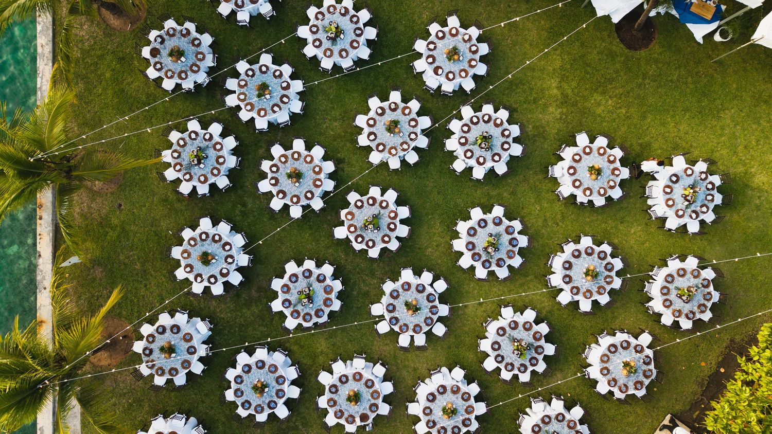 Delicate white paper snowflakes with intricate patterns arranged in rows against a green background.
