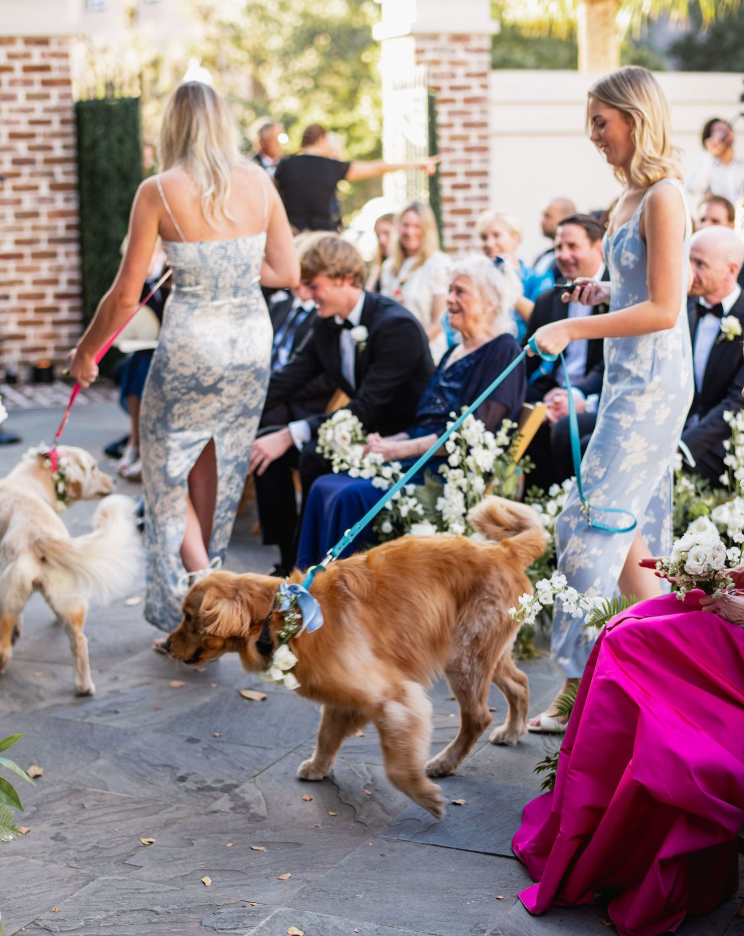 A golden retriever playfully chases a bridesmaid in a purple dress during an outdoor wedding celebration.