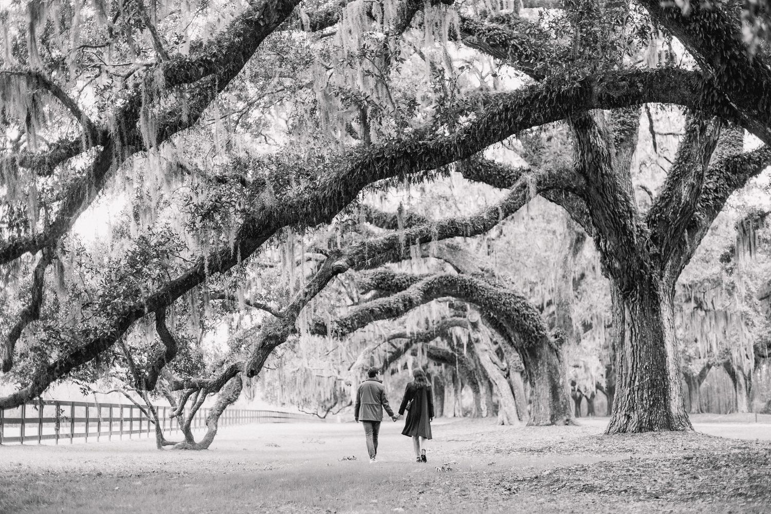Children play and swing beneath towering oak trees draped in Spanish moss at a historic southern plantation.
