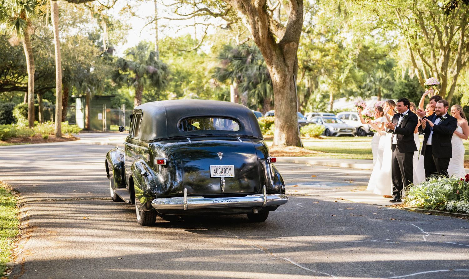 Classic vintage cars lined up along a tree-lined street during a sunny outdoor event.
