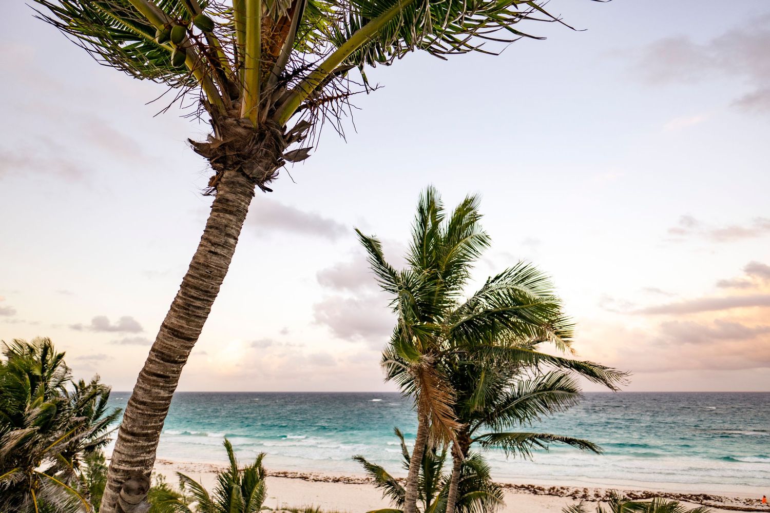 Palm trees sway against a pink and orange sunset sky over a tropical beach with turquoise waters and white sand.
