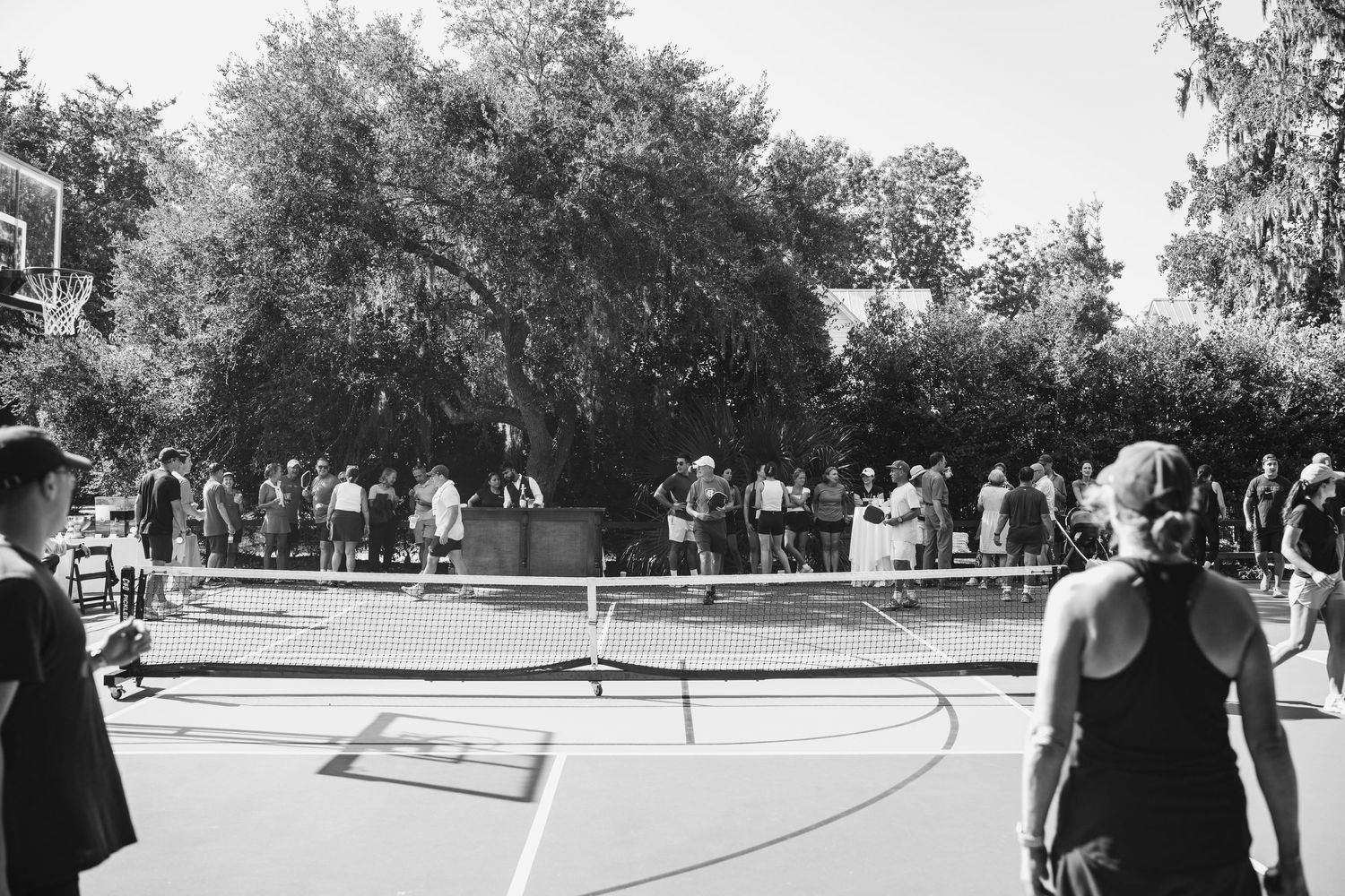 Black and white panoramic view of people walking on a tree-lined path at a college campus.