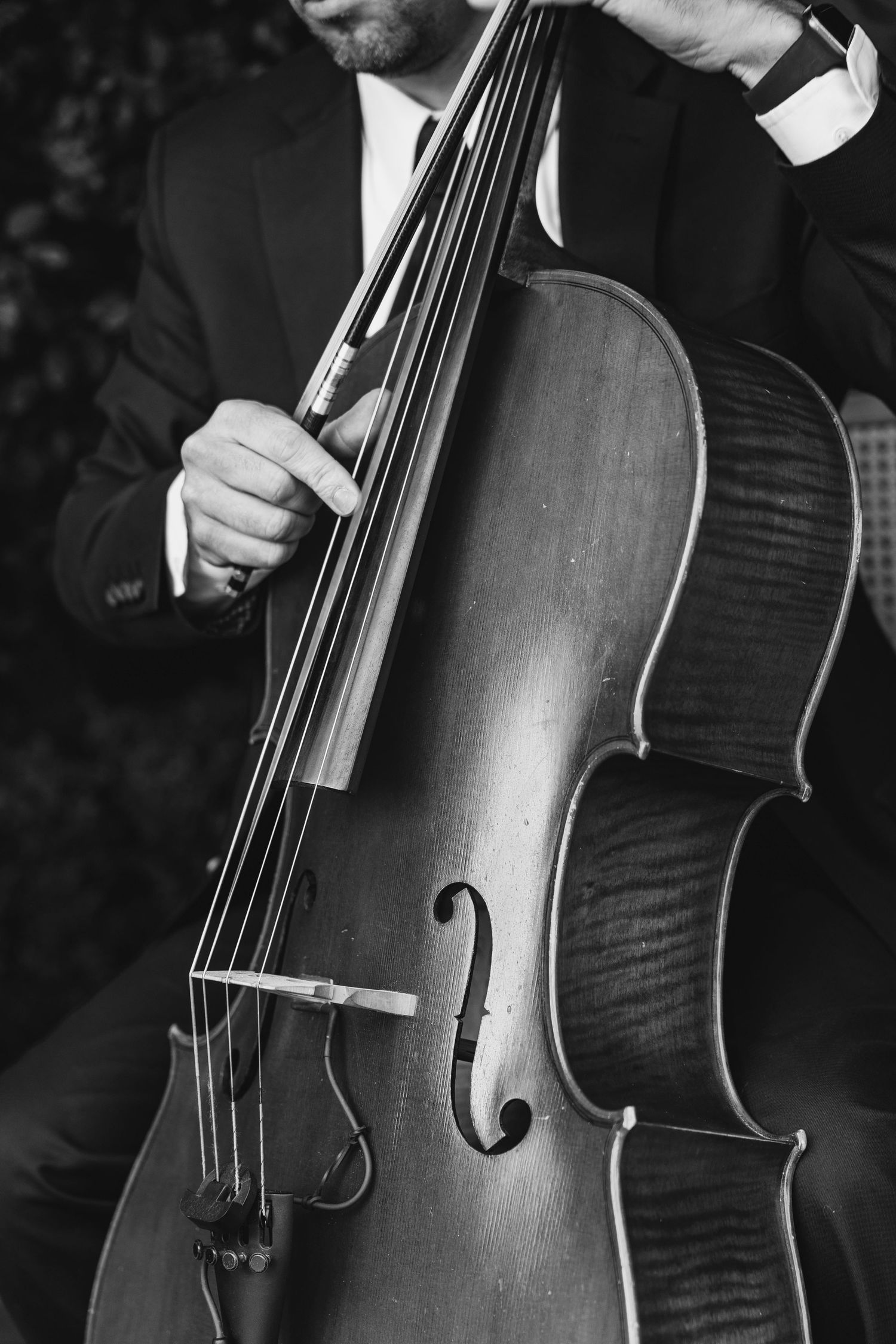 Close-up black and white photos of a cello being played, showing different angles of the wooden instrument's body and strings.