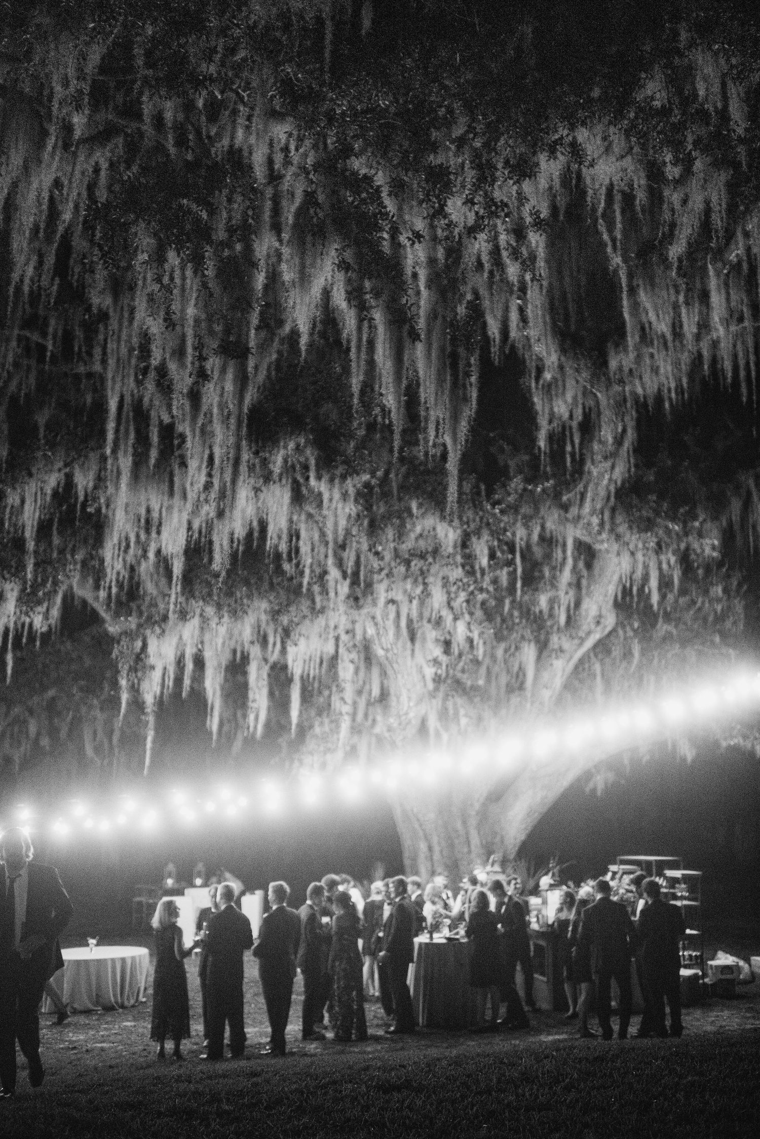 A dramatic nighttime scene shows a line of people holding flashlights under Spanish moss-draped trees.