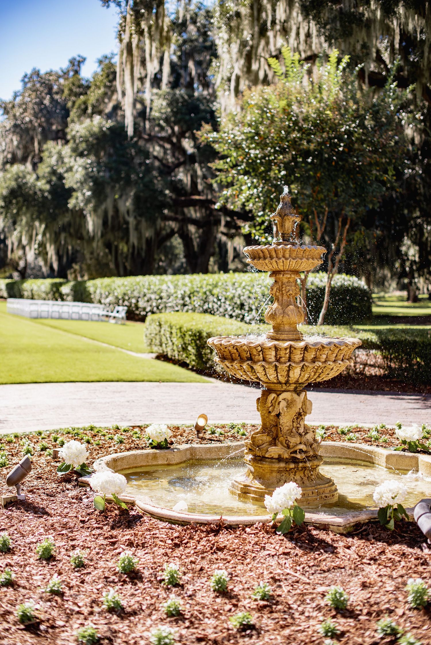 Ornate golden tiered fountain surrounded by mulch and Spanish moss draped trees in a formal garden setting.