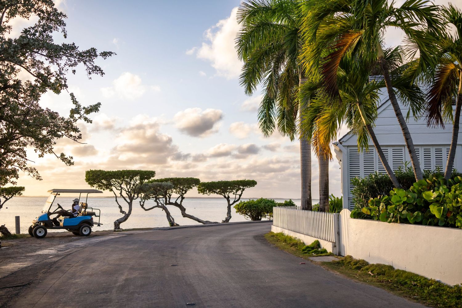 Palm trees and tropical landscaping line a scenic coastal pathway at sunset.