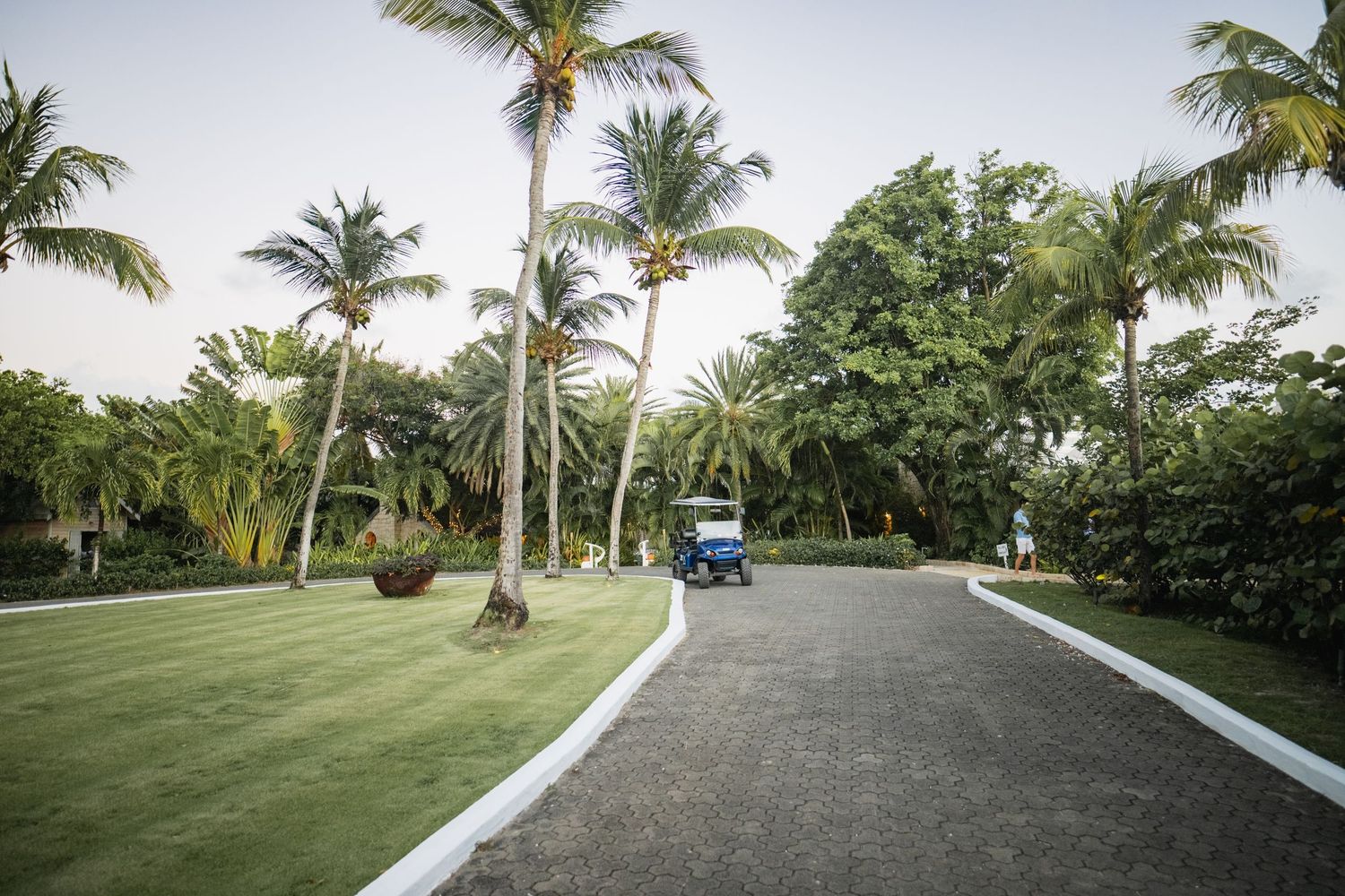 Palm tree-lined pathway at tropical resort with lush greenery and clear blue sky.