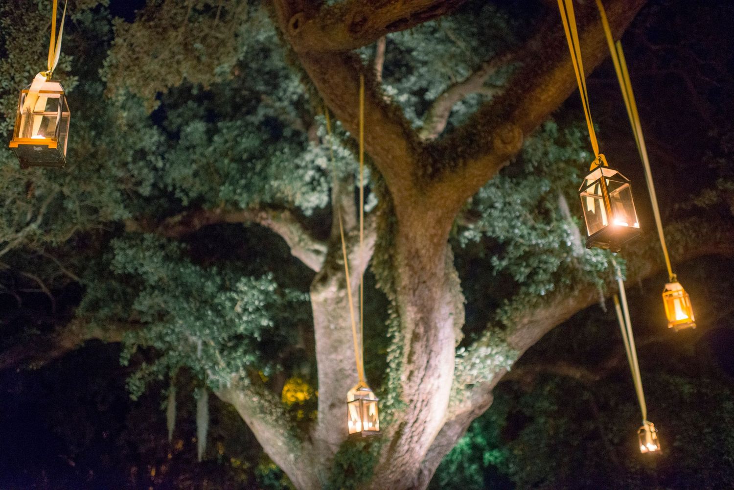 Hanging lanterns illuminate a rustic outdoor venue with Spanish moss draped trees creating a magical ambiance.