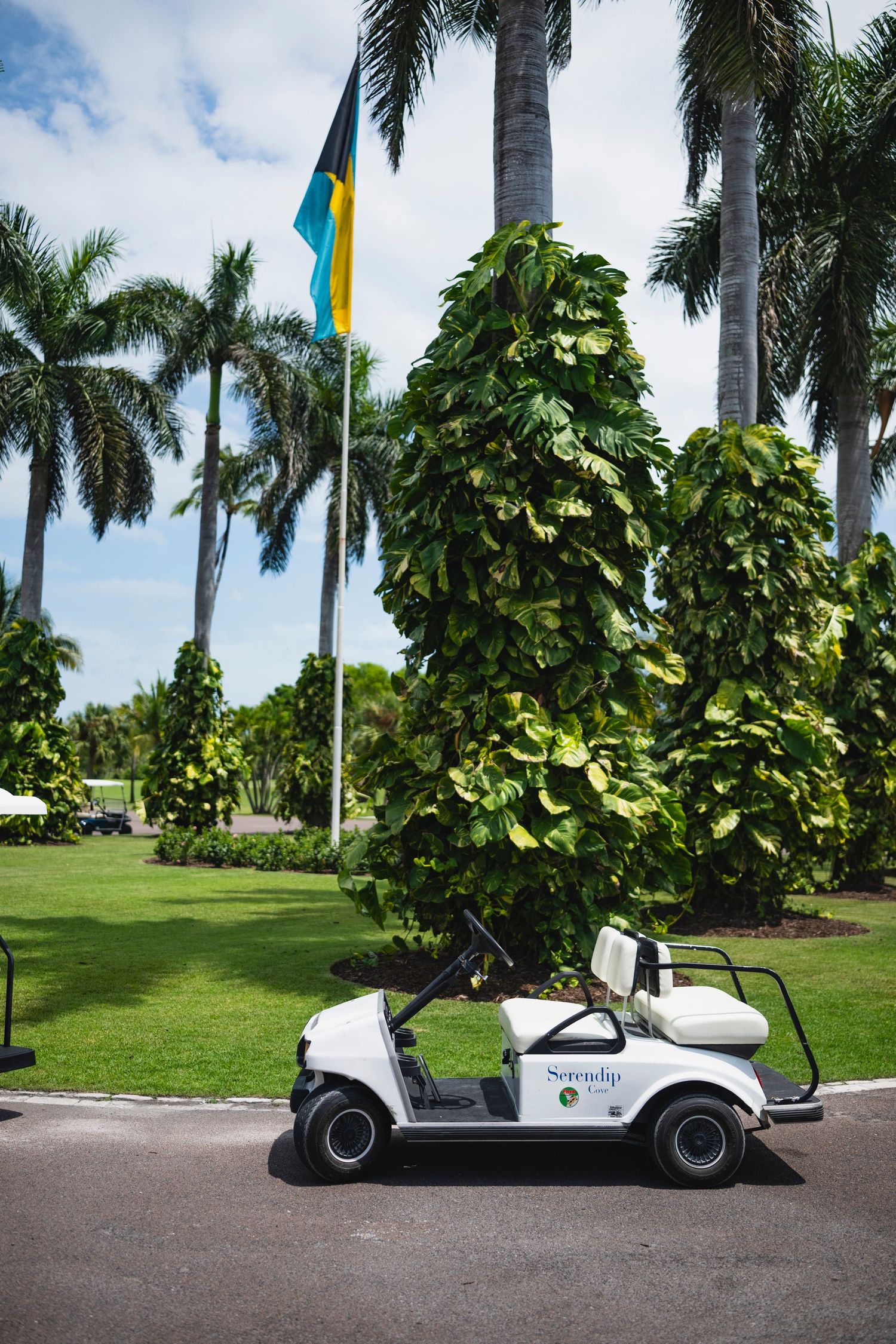 White golf cart parked on path alongside row of tall palm trees and manicured green lawn at tropical resort.