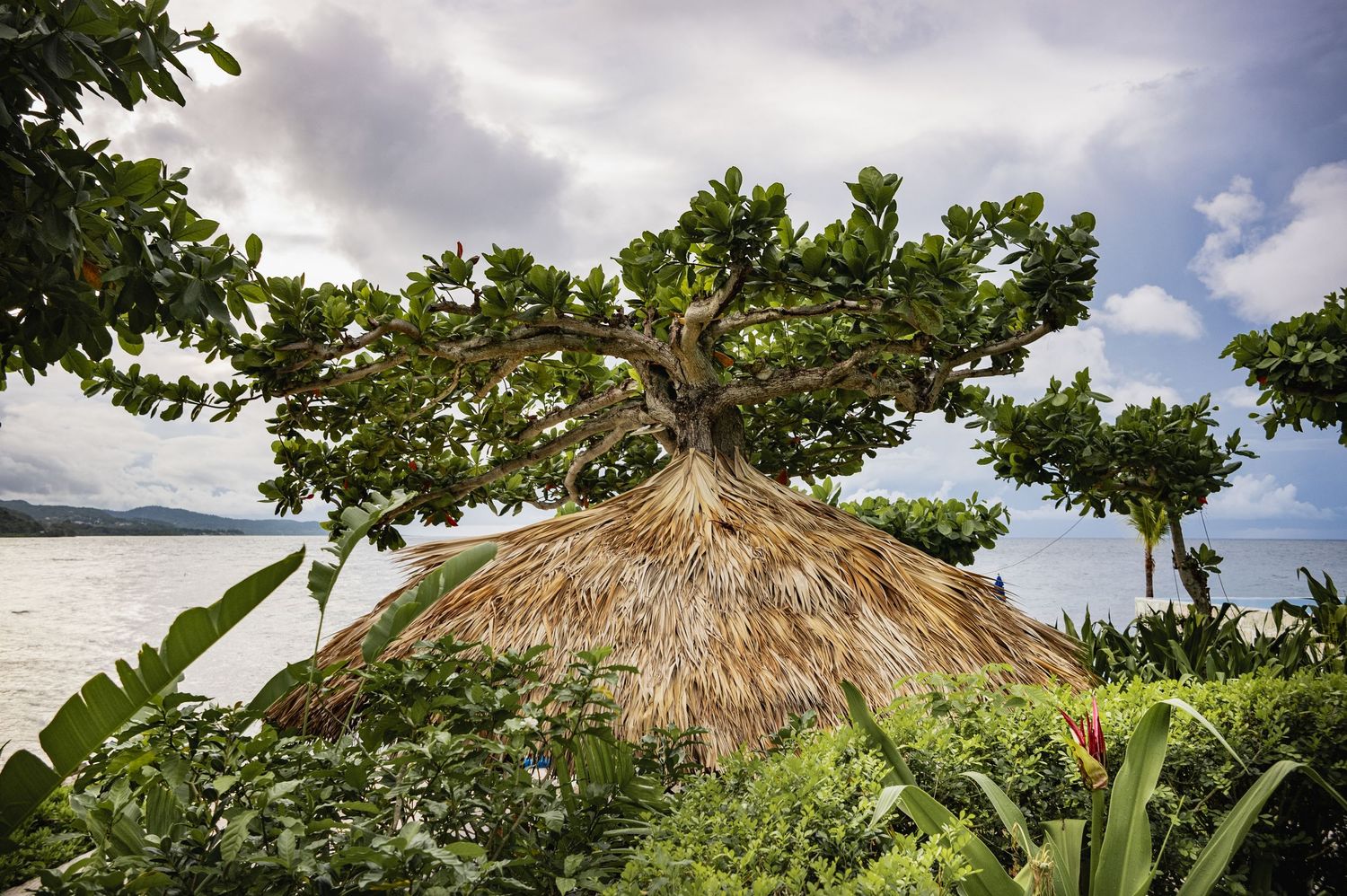 A panoramic view of a tropical beach with thatched roof huts and palm trees against a cloudy sky.
