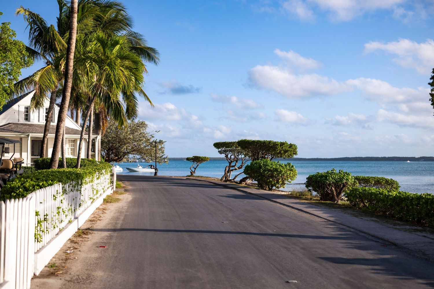Palm-lined coastal road with white picket fence and waterfront homes in the Florida Keys on a sunny day.