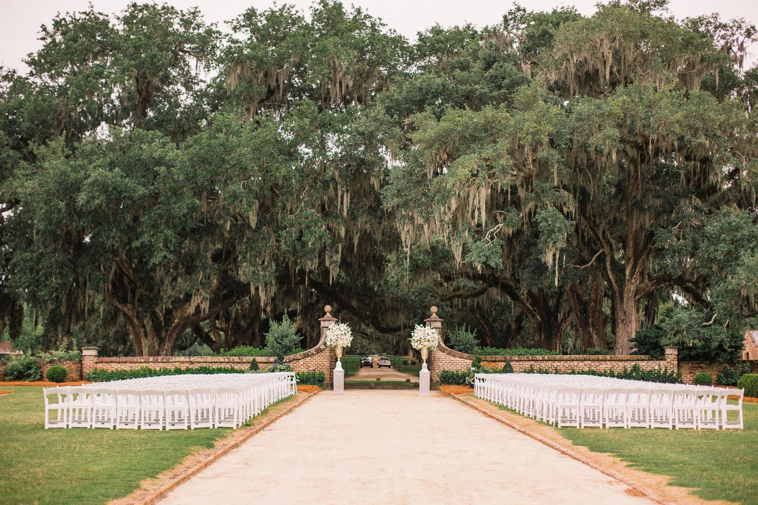 A panoramic view of a white wedding ceremony setup with chairs arranged in rows under Spanish moss draped oak trees.
