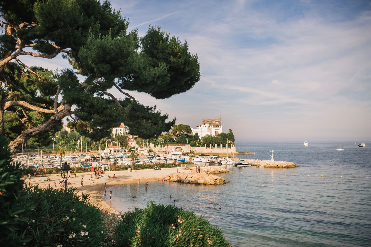 Scenic coastal panorama showing multiple beaches and coves along a Mediterranean shoreline with blue waters and pine trees.