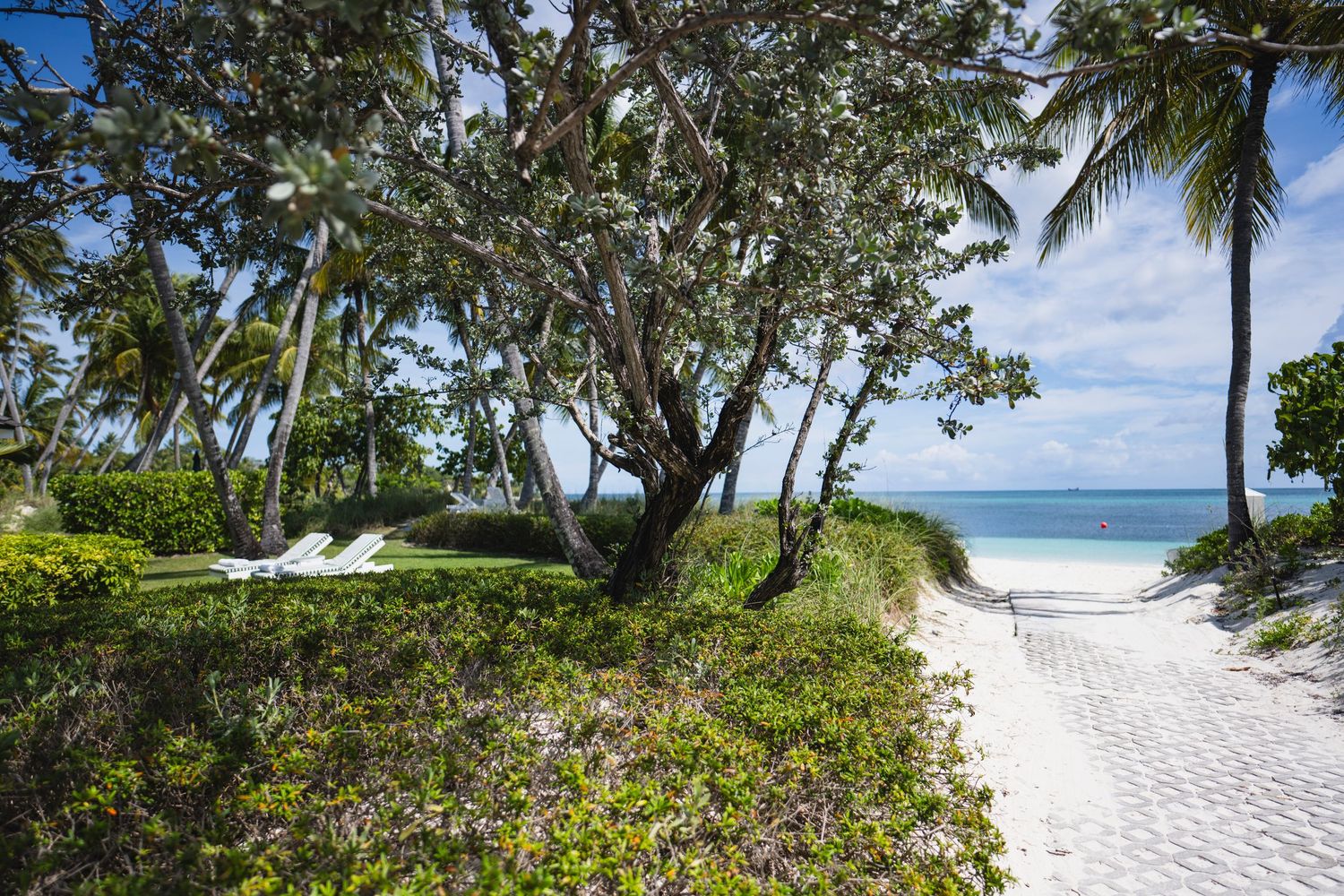A scenic pathway through tropical vegetation leads to a pristine white sand beach with turquoise ocean waters and palm trees.