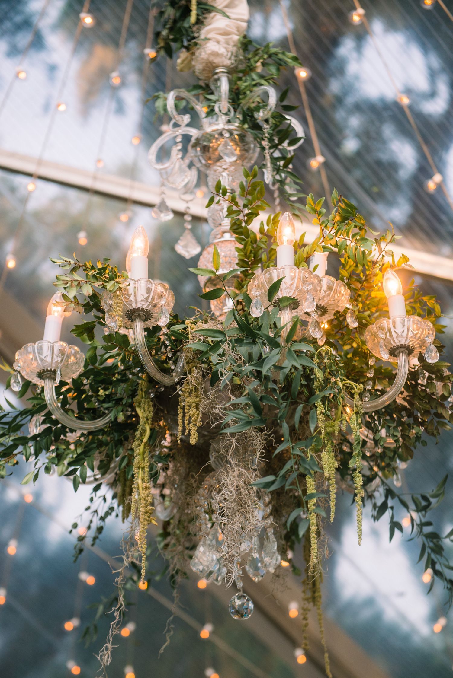 Crystal chandeliers adorned with lush greenery and foliage create an elegant wedding reception ambiance.