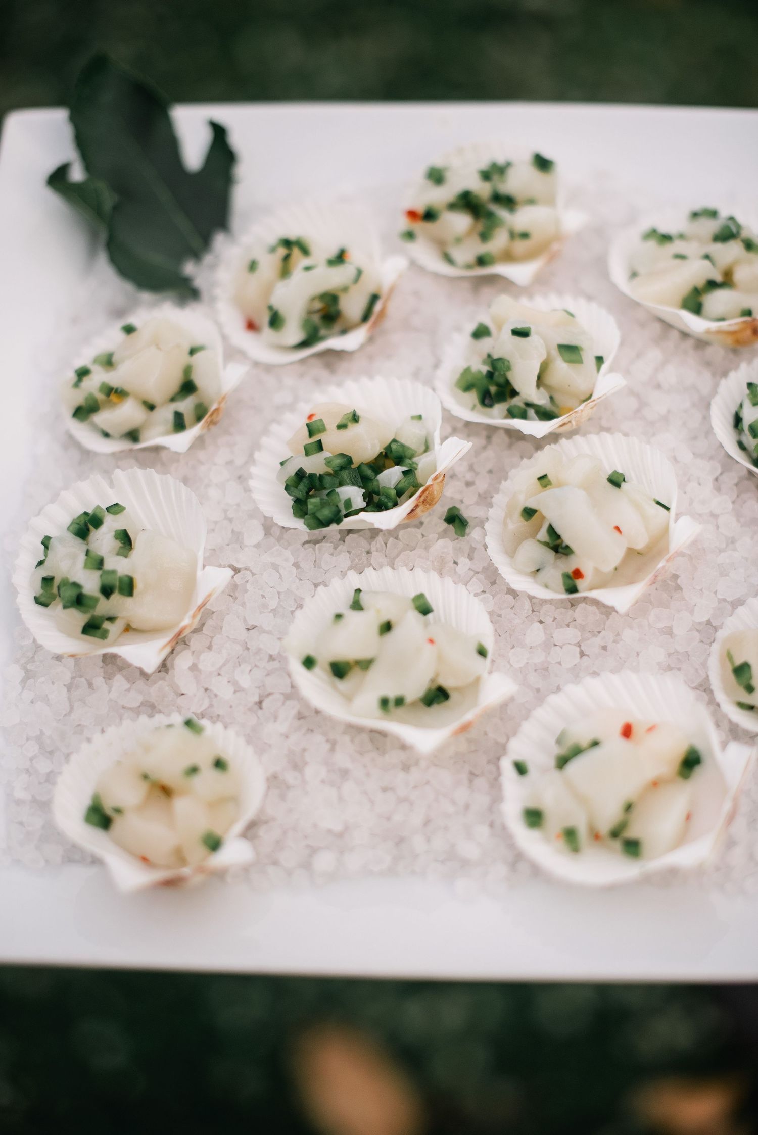 Fresh oysters on ice garnished with herbs and mignonette sauce served on a white platter.
