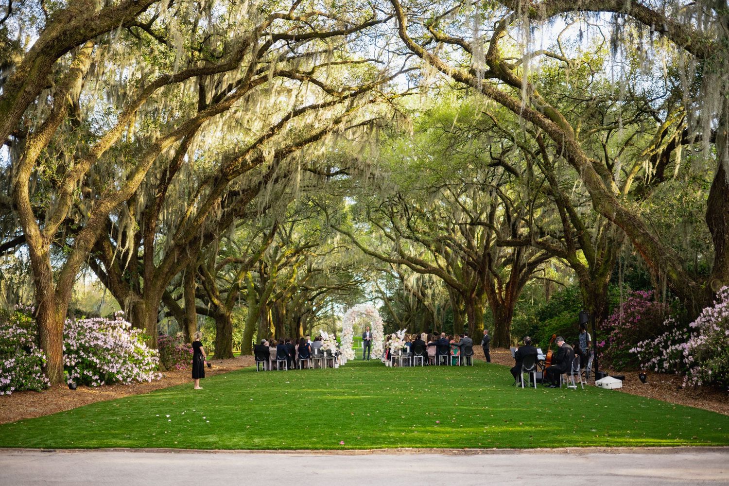 A scenic path through a grove of ancient live oak trees with hanging Spanish moss creates a natural archway.