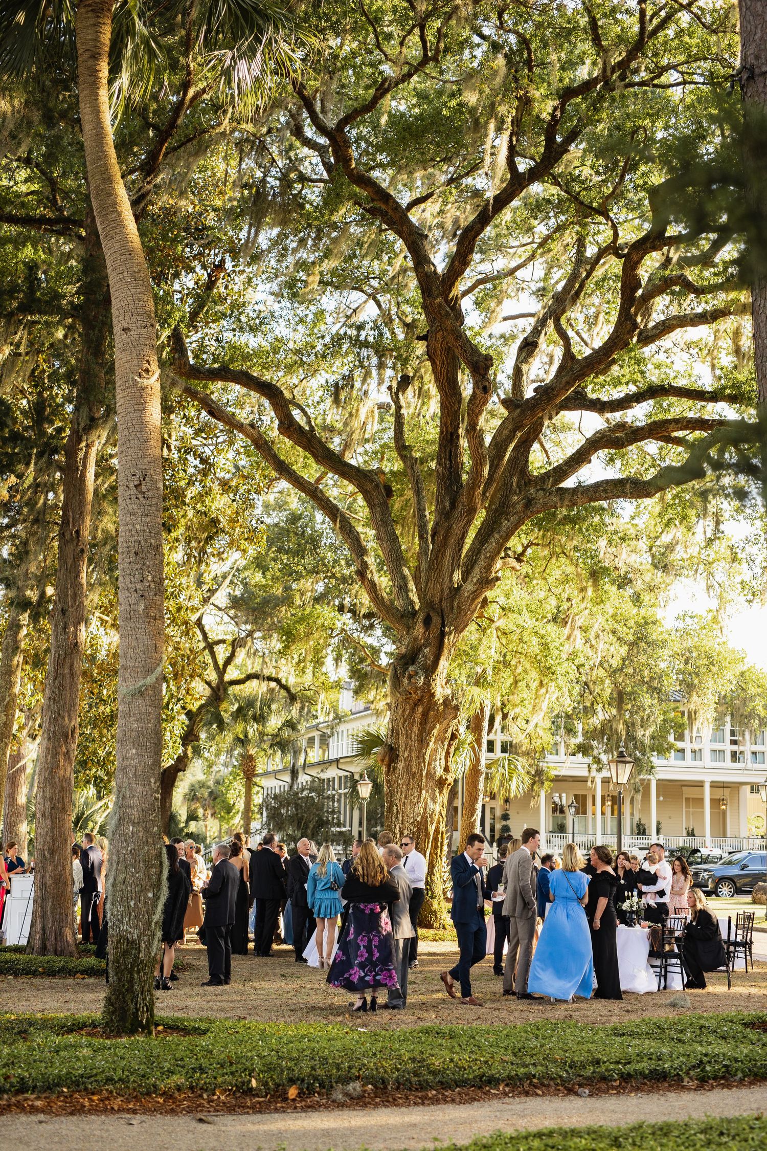 A group gathers under towering oak trees draped with Spanish moss at an outdoor event in a historic Southern setting.