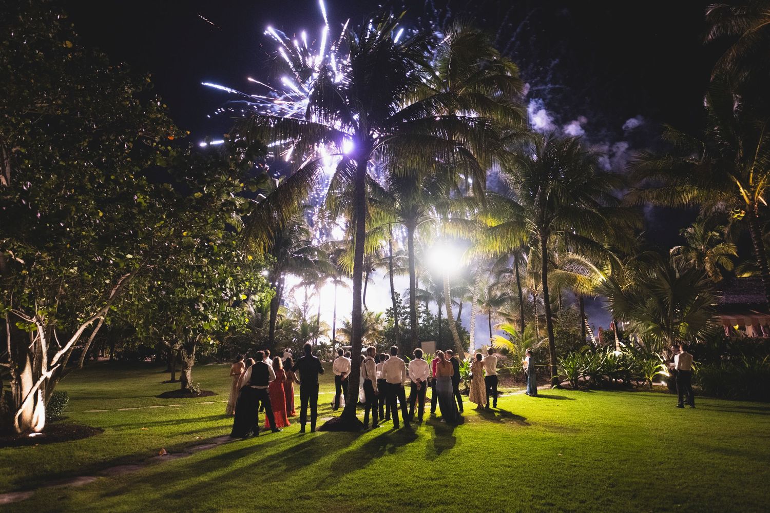 Fireworks light up the night sky over a tropical garden party with palm trees and guests gathered on illuminated lawn.