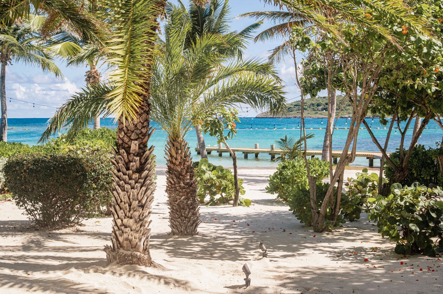 Sandy pathway leading to tropical beach through palm trees and lush landscaping.