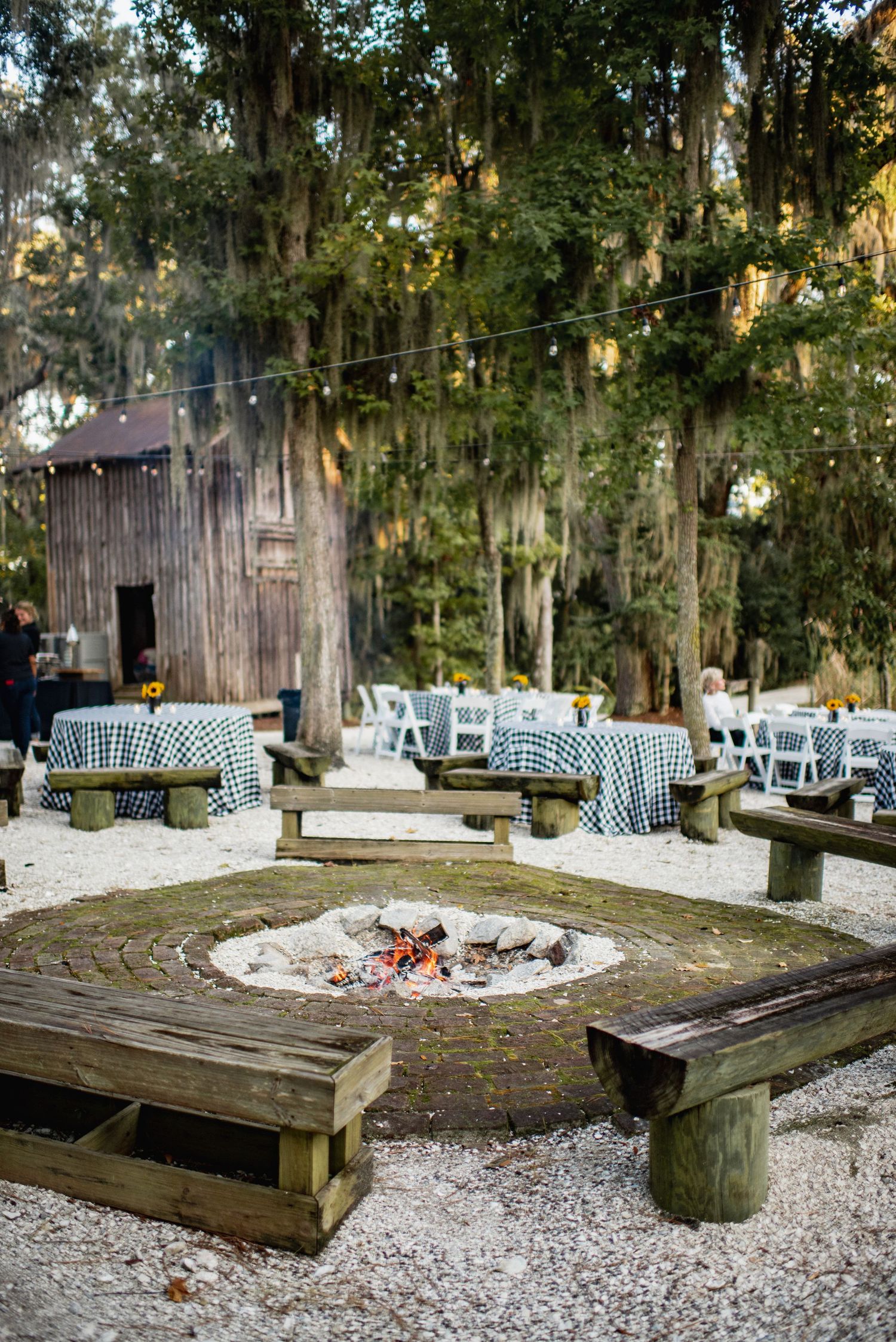 Rustic outdoor seating area with wooden benches and a central fire pit surrounded by Spanish moss-draped trees.