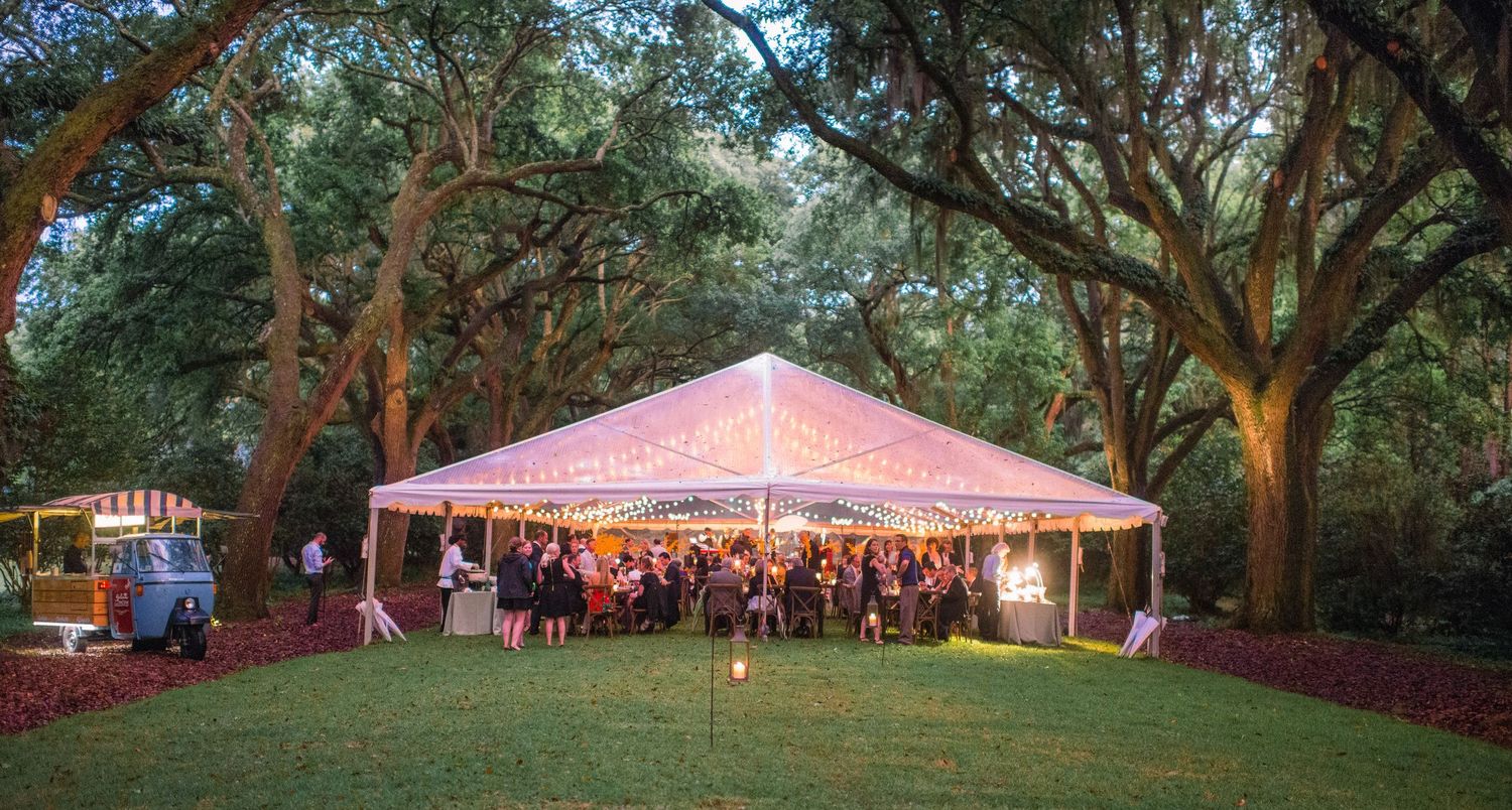 Panoramic view of towering oak trees creating a natural canopy over an outdoor event space.