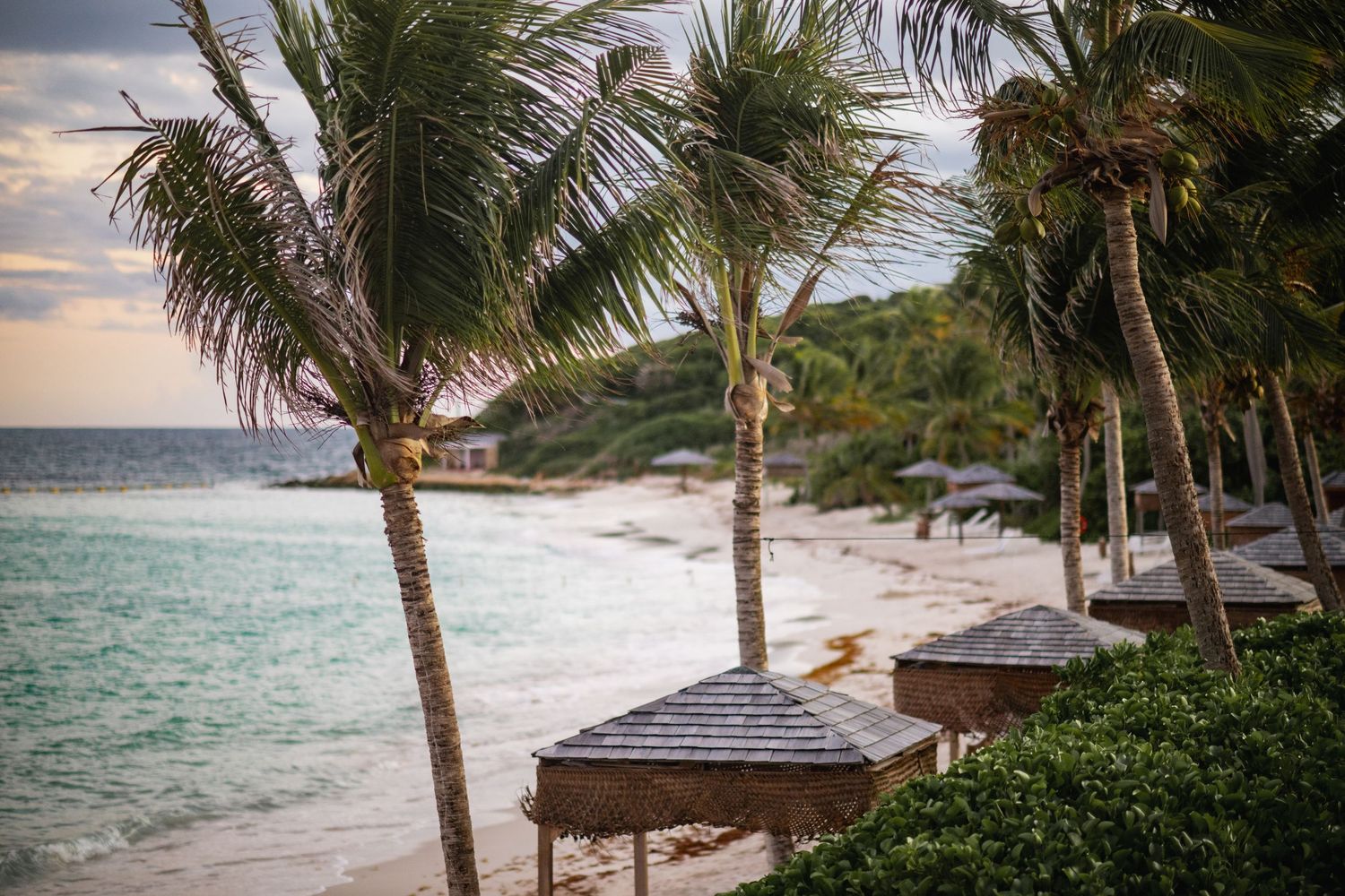 The Mill Reef Club beach with palm trees and thatched-roof cabanas overlooking turquoise waters at sunset.