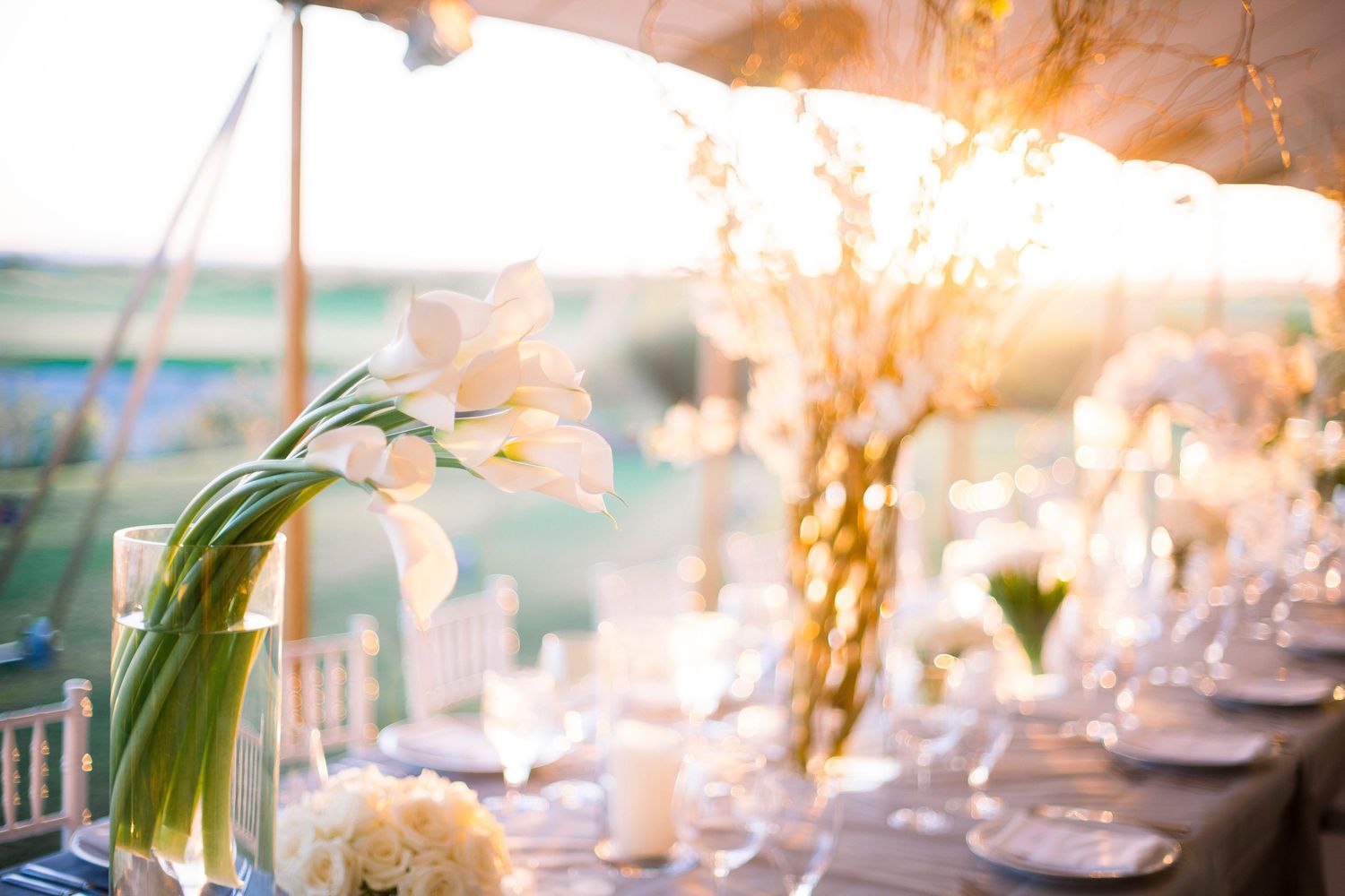 Elegant white floral centerpieces and crystal chandeliers decorate a luxurious wedding reception venue.