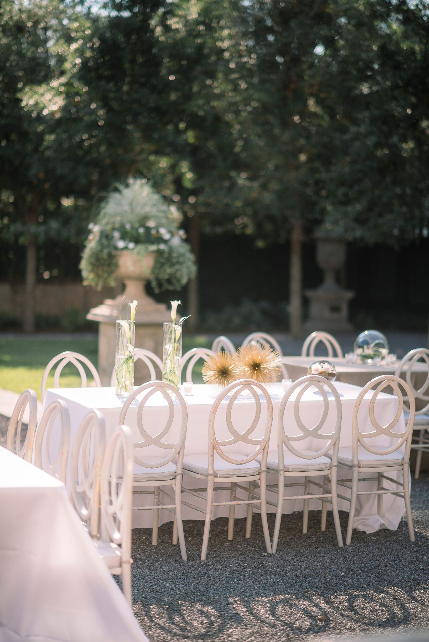 Elegant outdoor wedding reception setup with white chairs and tables arranged in rows under trees at dusk.