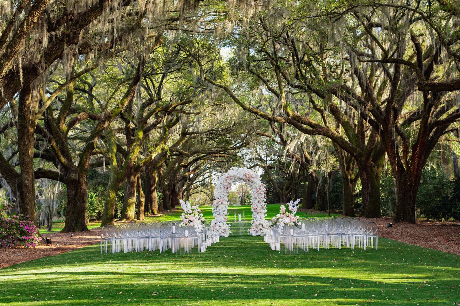 White wedding chairs arranged under towering oak trees draped with Spanish moss create a romantic outdoor ceremony setting.