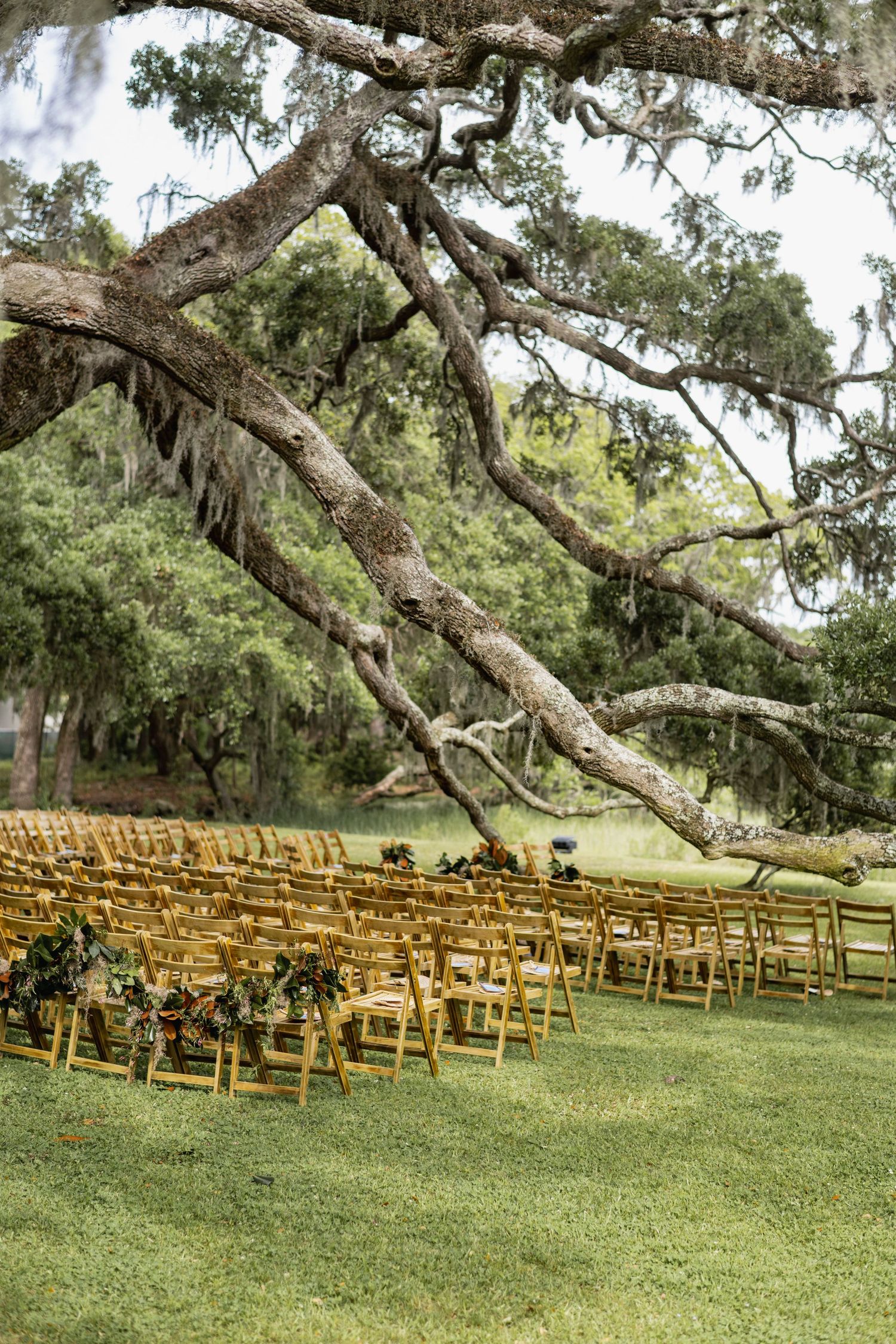 Rows of wooden folding chairs arranged on a lush green lawn under sprawling oak trees draped with Spanish moss.