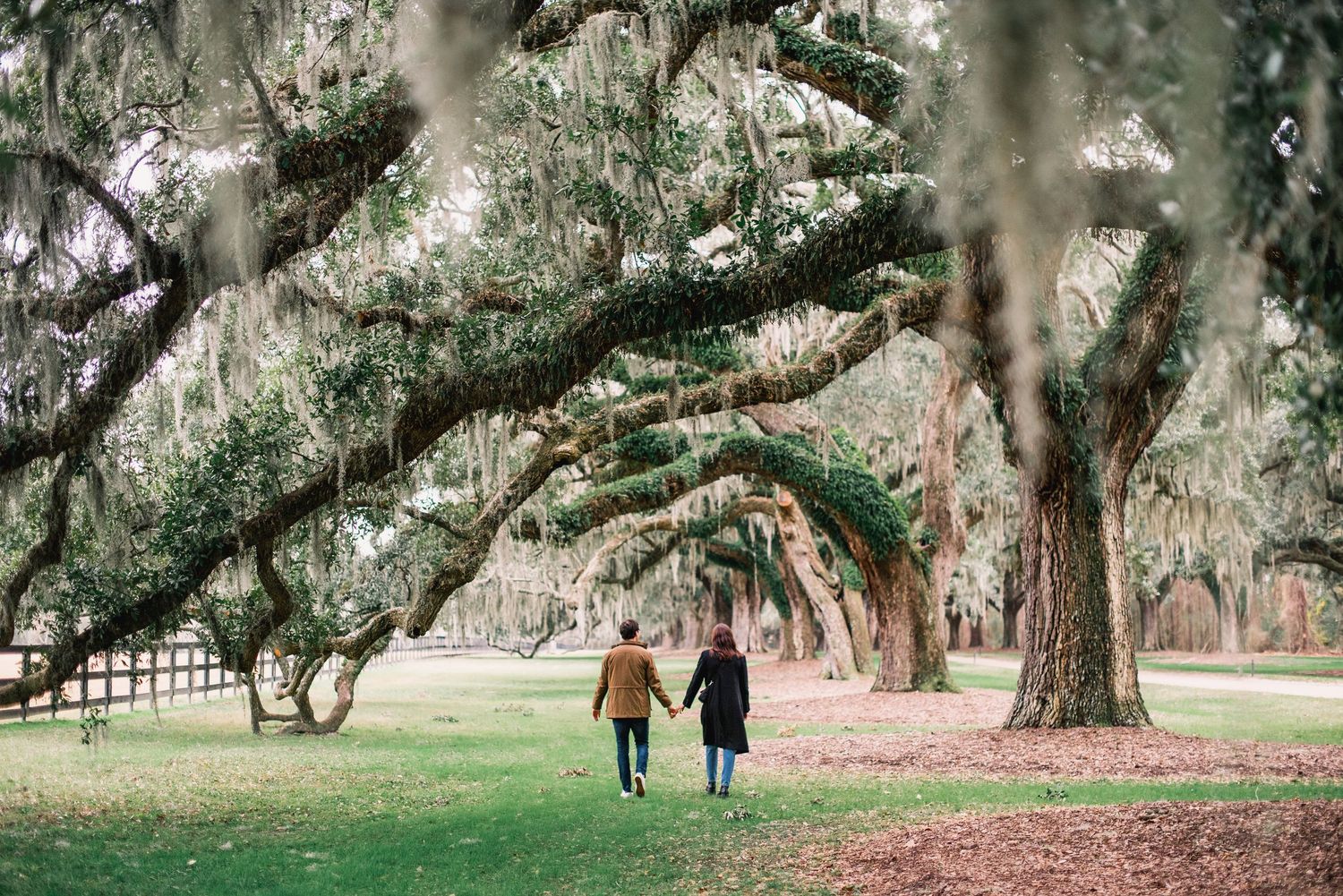 Two people stroll beneath towering oak trees draped in Spanish moss along a peaceful garden path.
