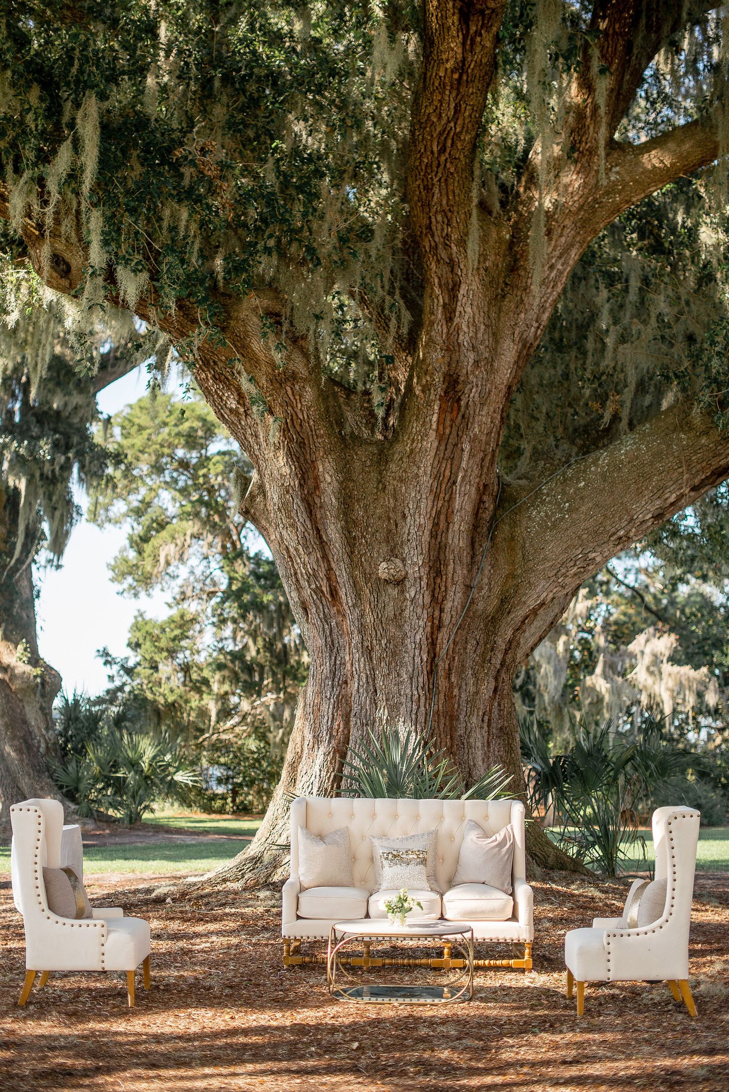 Elegant white lounge furniture arranged beneath majestic oak trees draped with Spanish moss creates an enchanting outdoor seating area.