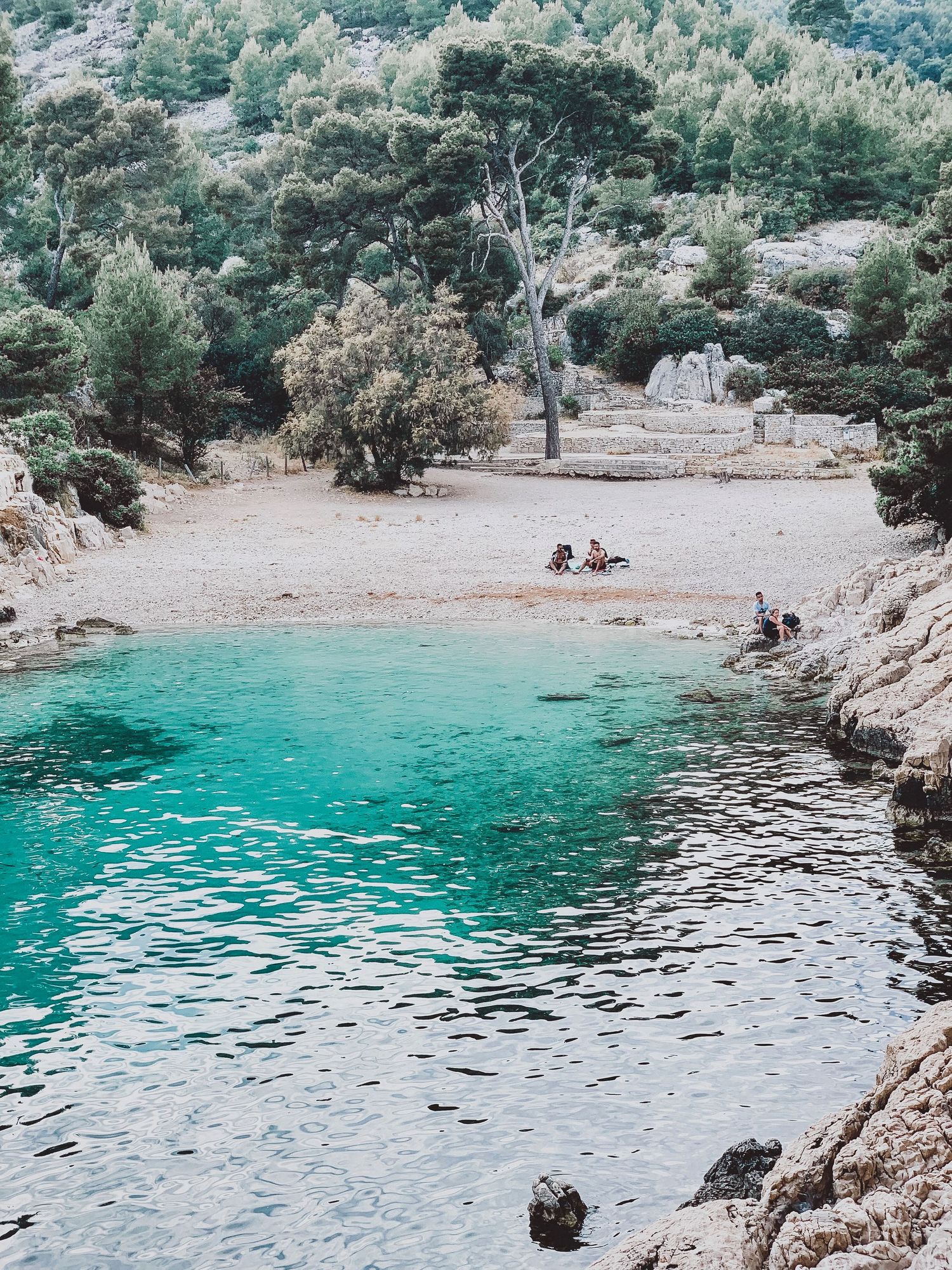 Secluded turquoise cove with crystal clear waters surrounded by pine trees and rocky cliffs.