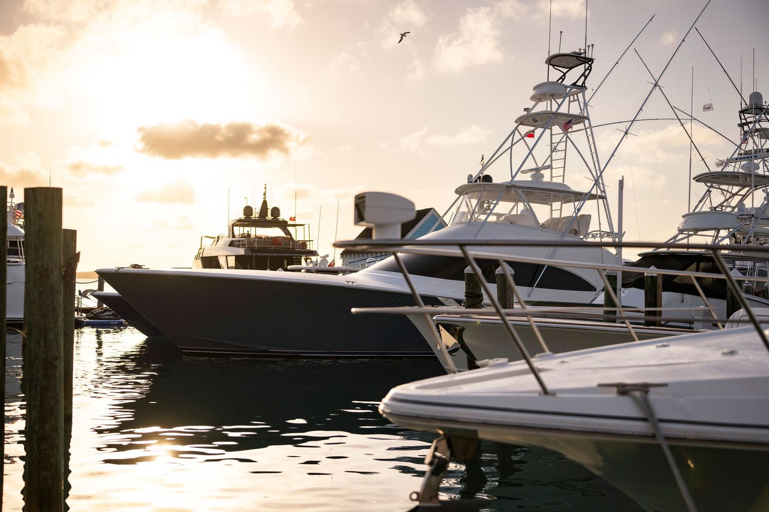 Luxury fishing boats and yachts docked at a marina during golden sunset.