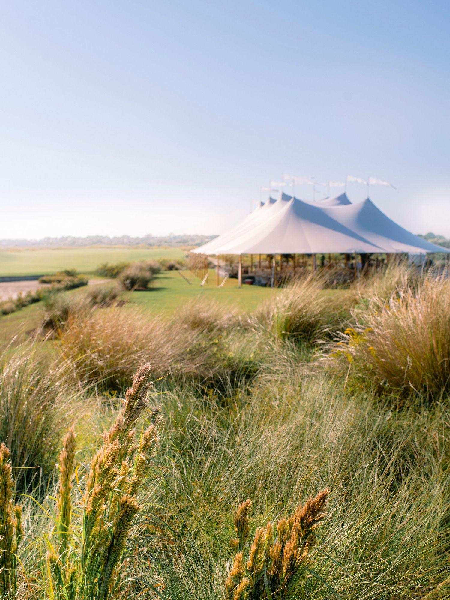 Rolling green hills meet the ocean with tall grasses swaying in the coastal breeze under a cloudy sky.
