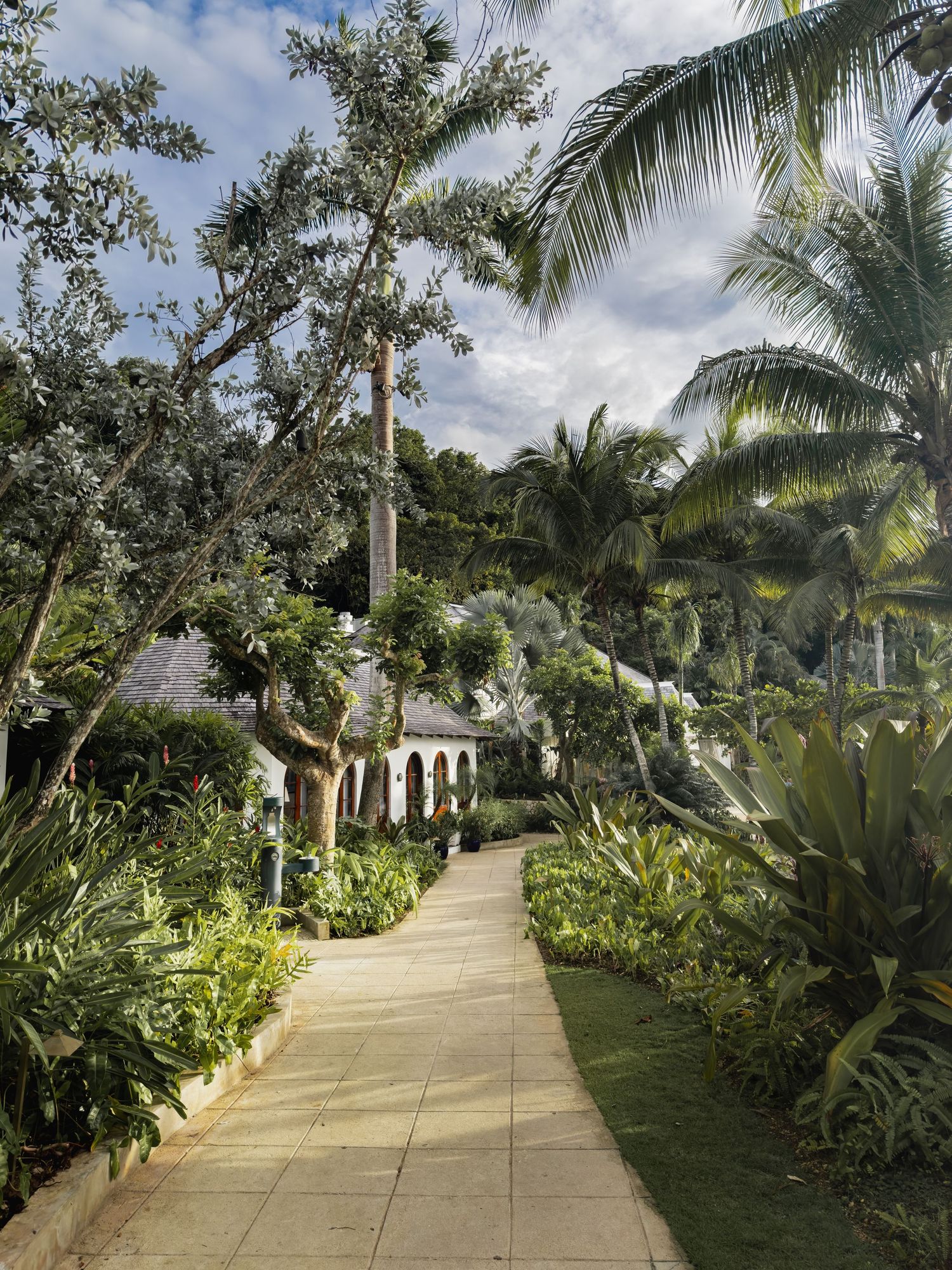 A winding concrete pathway lined with lush tropical plants and palm trees leads through a scenic garden landscape.