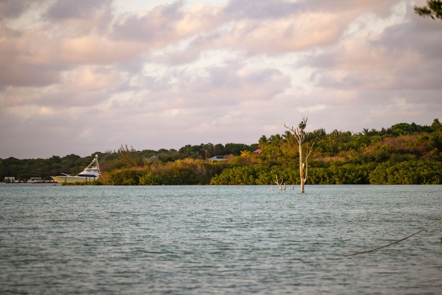 Tranquil waterway view with lush green shoreline and distant boats under cloudy sky.
