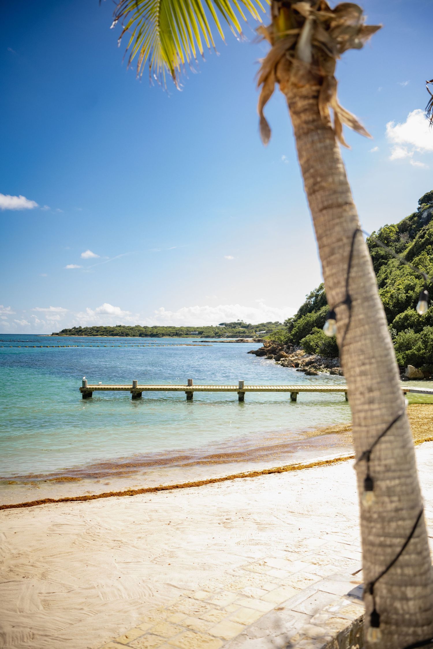 Panoramic view of a pristine tropical beach with palm trees and turquoise waters stretching along the coastline.