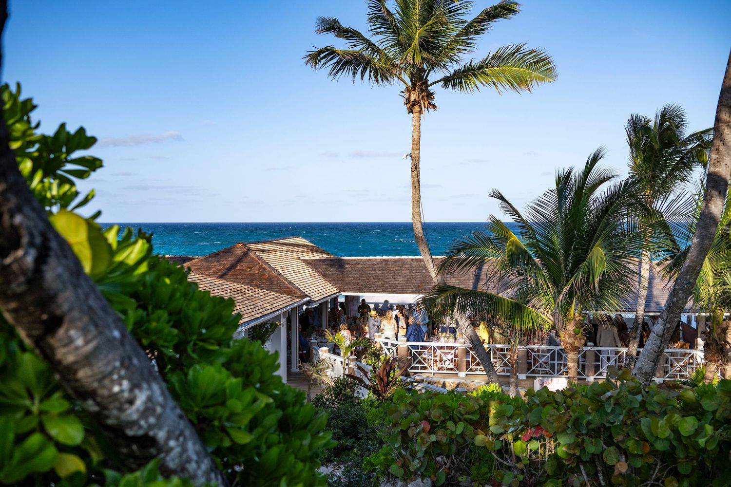Palm trees and lush tropical vegetation frame an oceanfront view of a beach resort property.