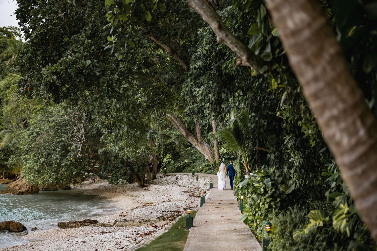 A scenic coastal pathway winds along the shoreline under lush tropical trees and vegetation.