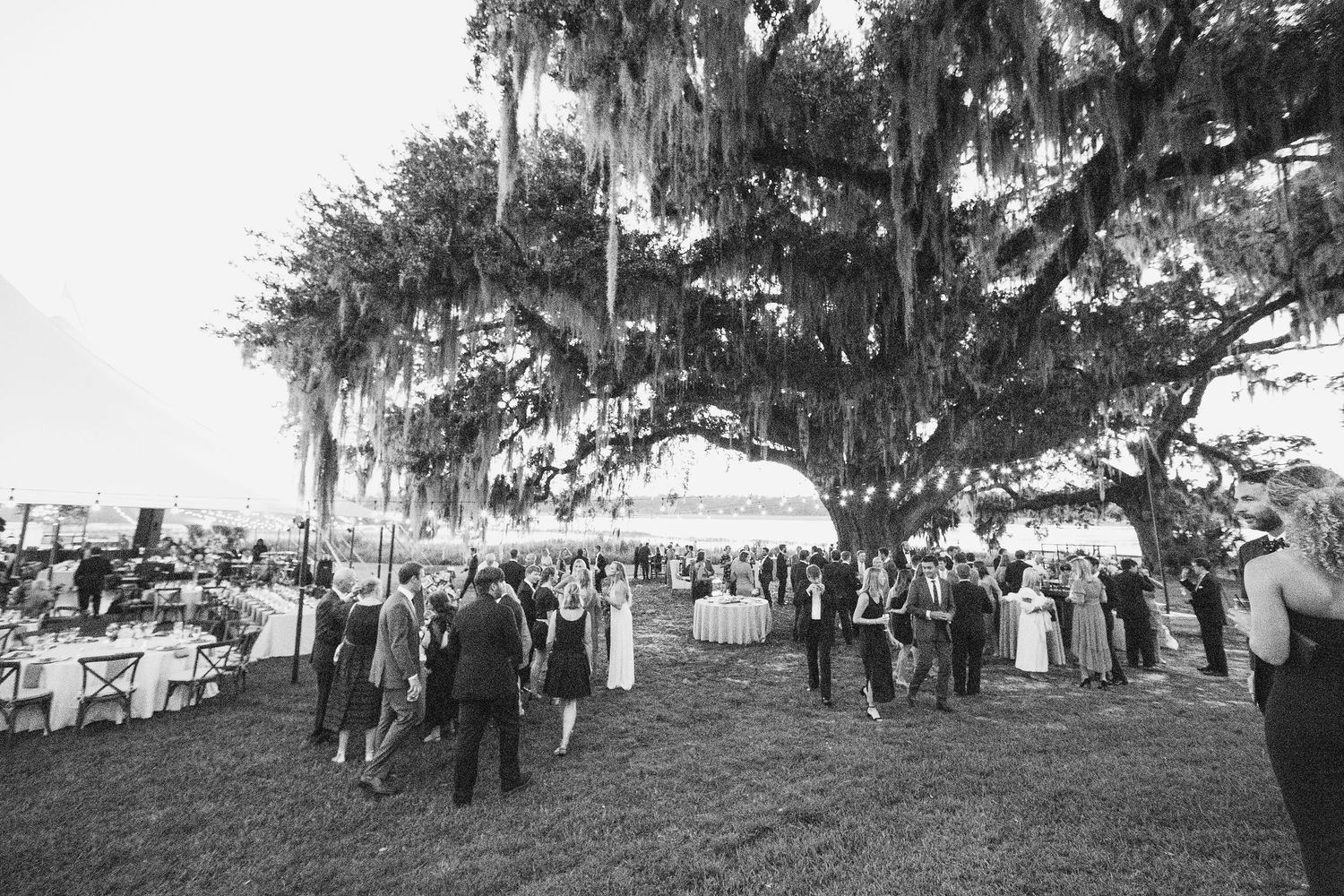 A black and white panoramic photograph shows a large crowd gathered under oak trees draped with Spanish moss.