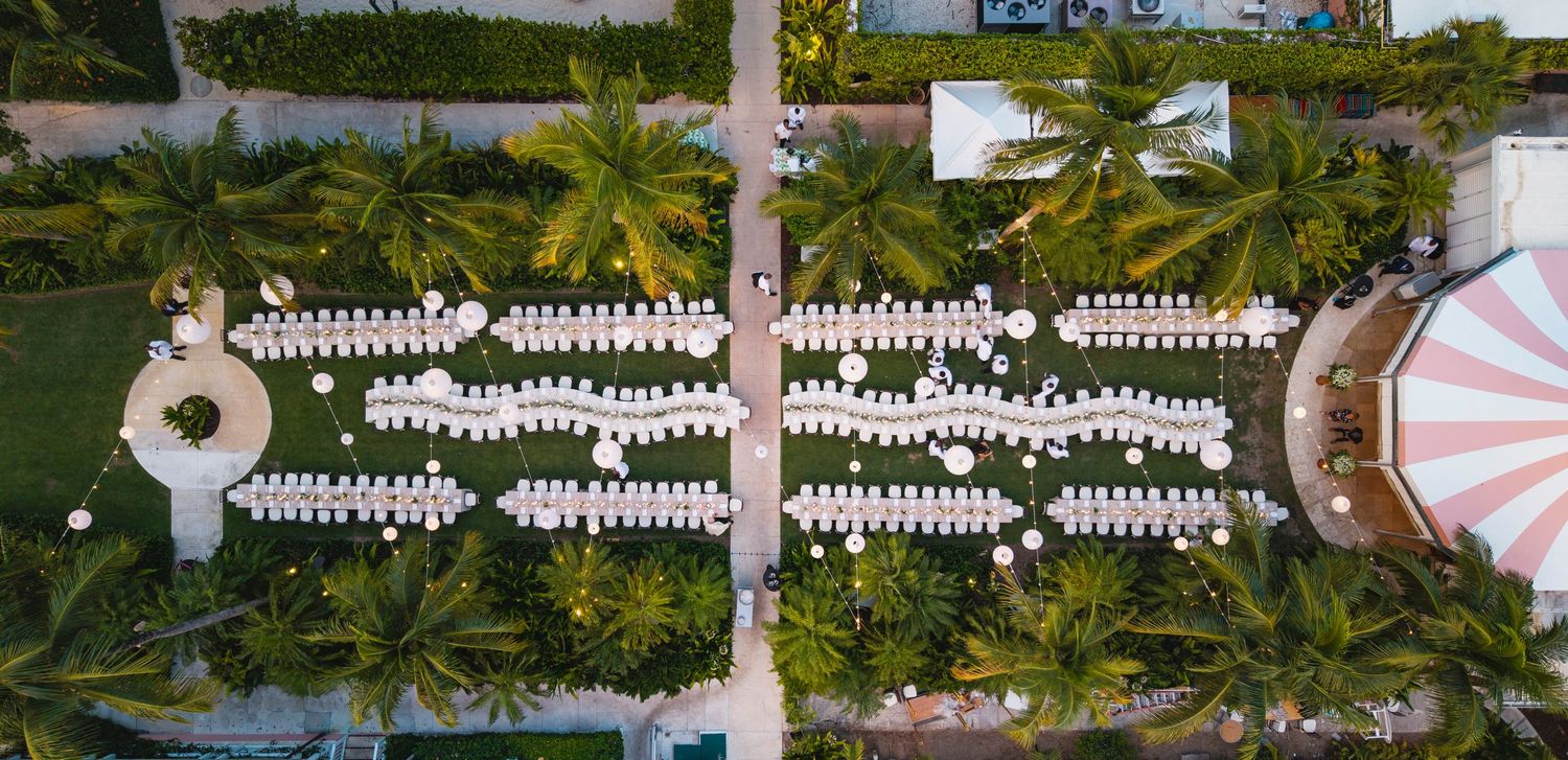 A row of white picket fences with green foliage and tropical palm trees in the background on a sunny day.