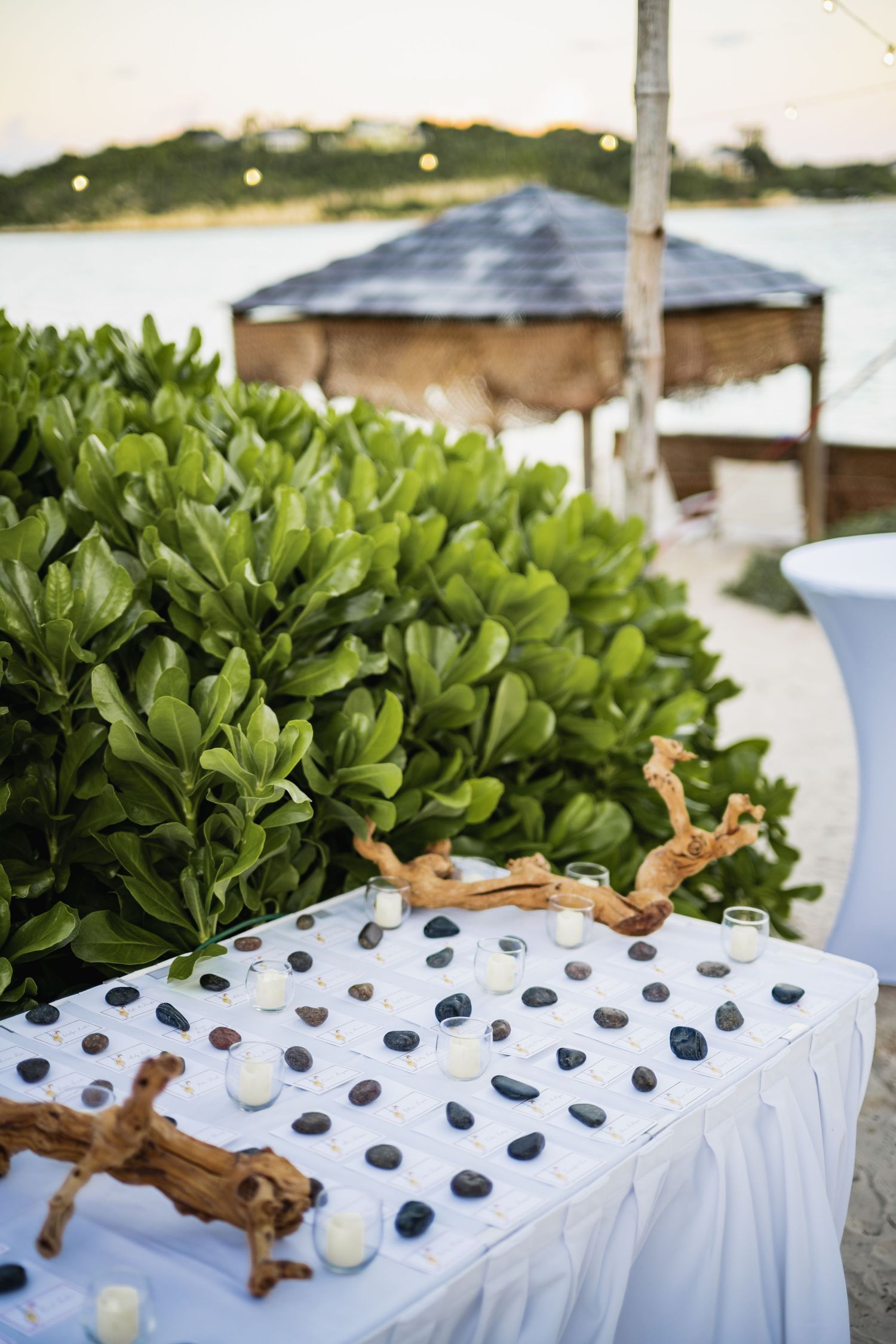 White tablecloth decorated with blueberries and driftwood at an outdoor event setting.