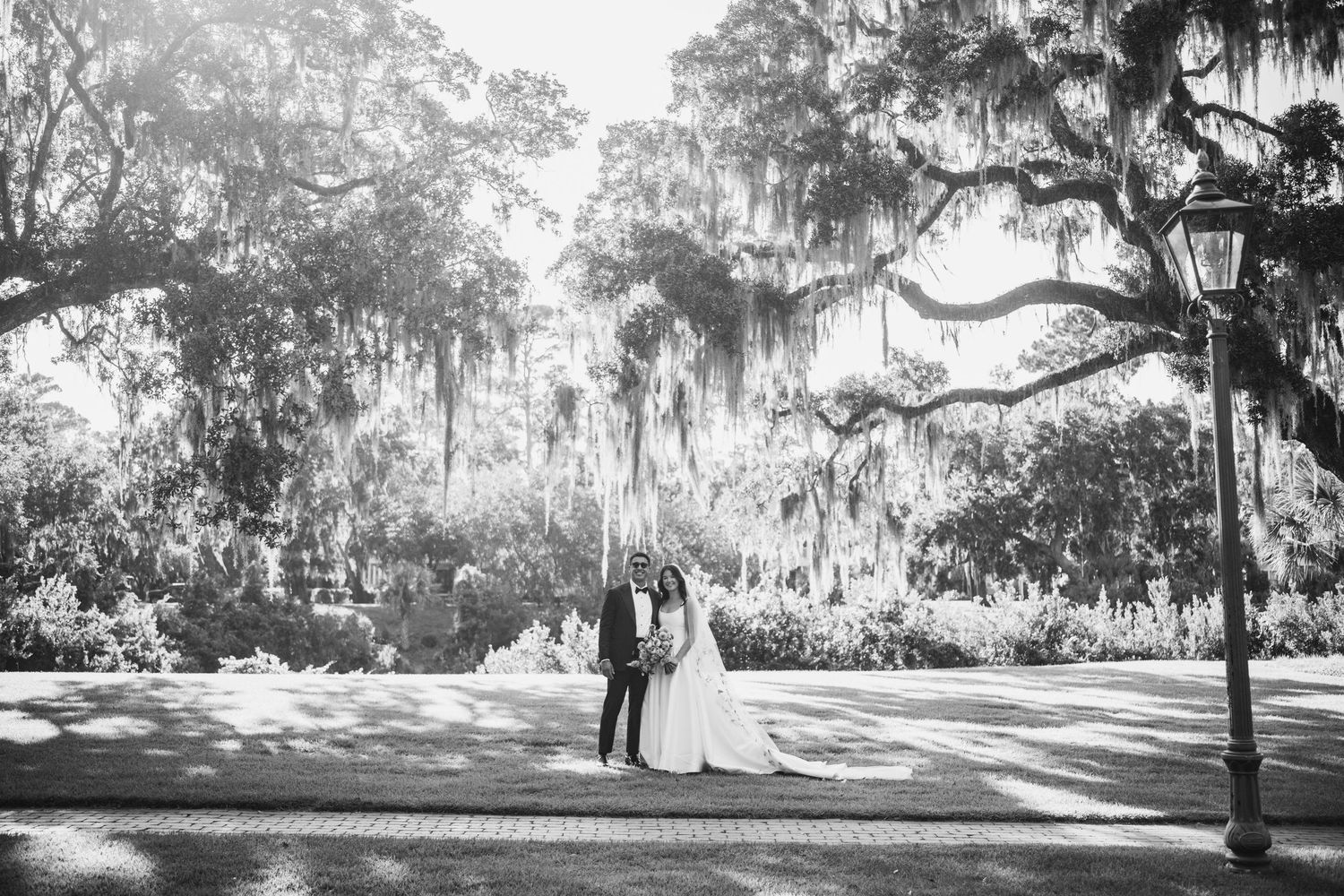 Spanish moss drapes from oak trees lining a scenic dirt road in the rural South.