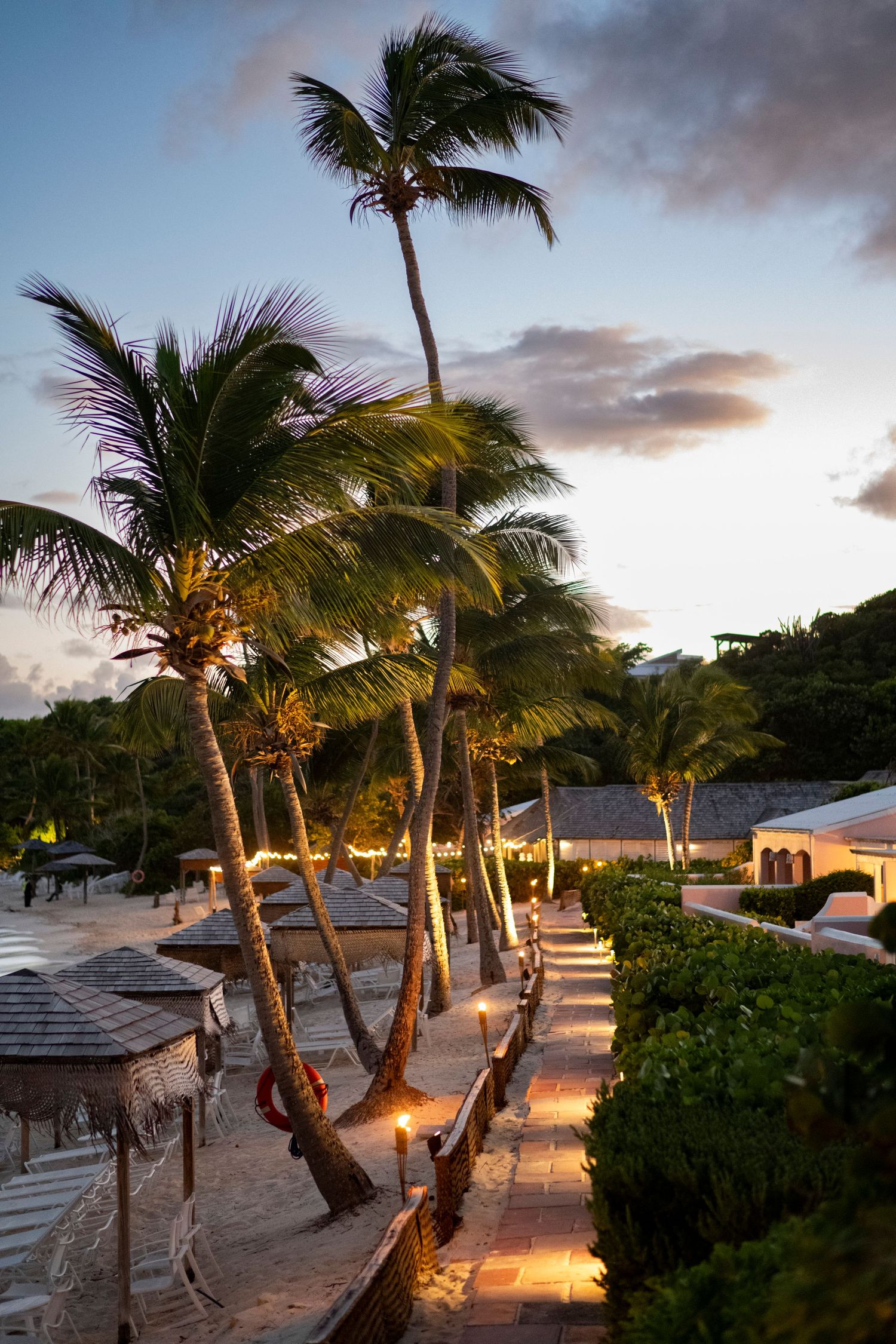 Palm trees line a beachfront path at sunset with warm lighting illuminating the walkway.