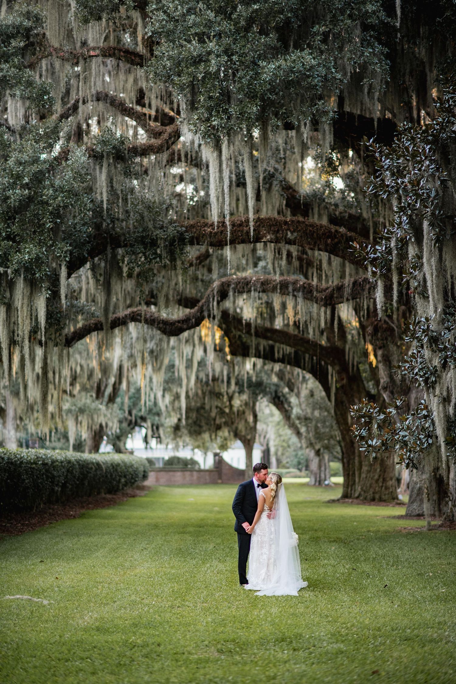 Spanish moss drapes elegantly over oak trees creating a romantic outdoor setting for a wedding ceremony.