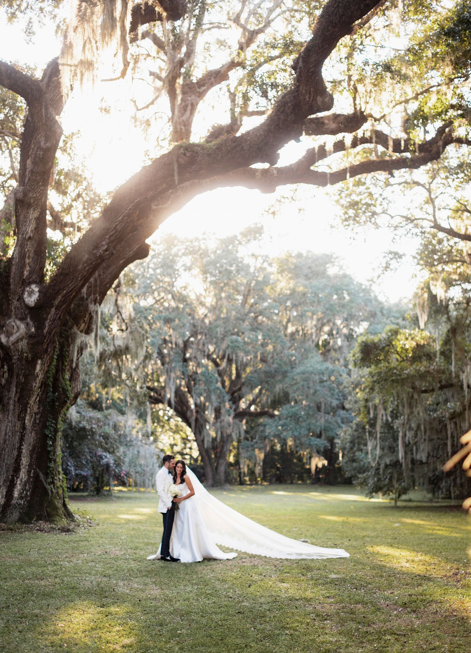 Romantic wedding couple poses beneath majestic oak trees draped in Spanish moss during golden hour.