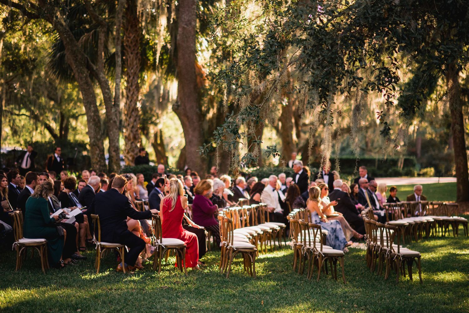 Outdoor wedding ceremony guests seated on wooden chairs under large trees with sunlight filtering through Spanish moss.