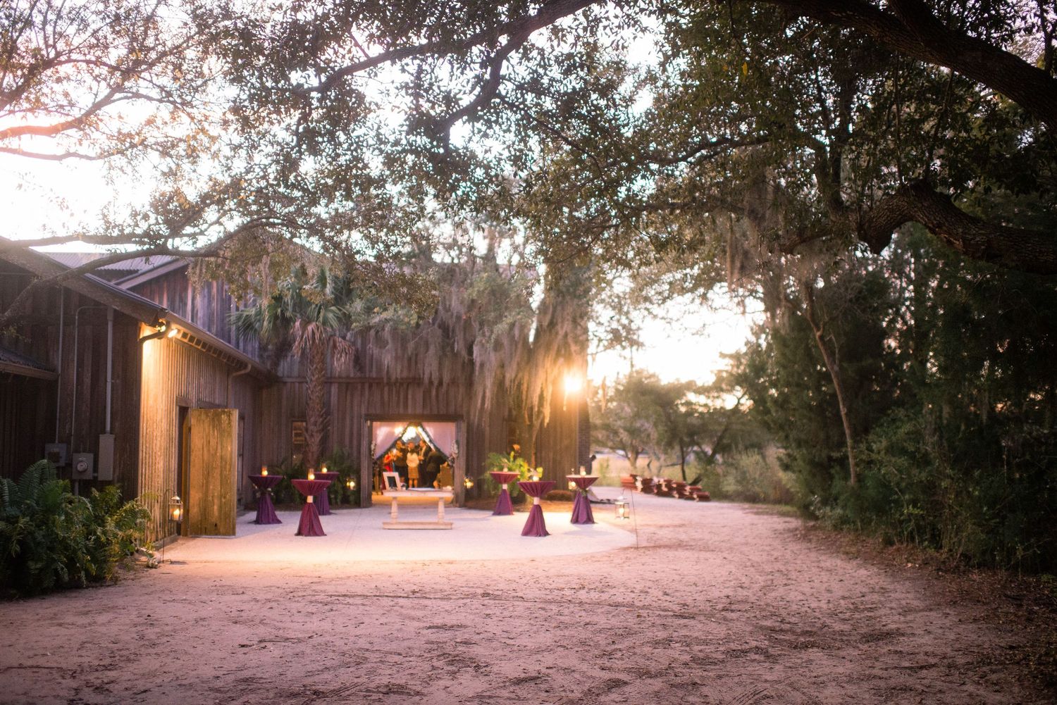 A rustic outdoor wedding venue with Spanish moss draped trees and warm lighting at sunset.